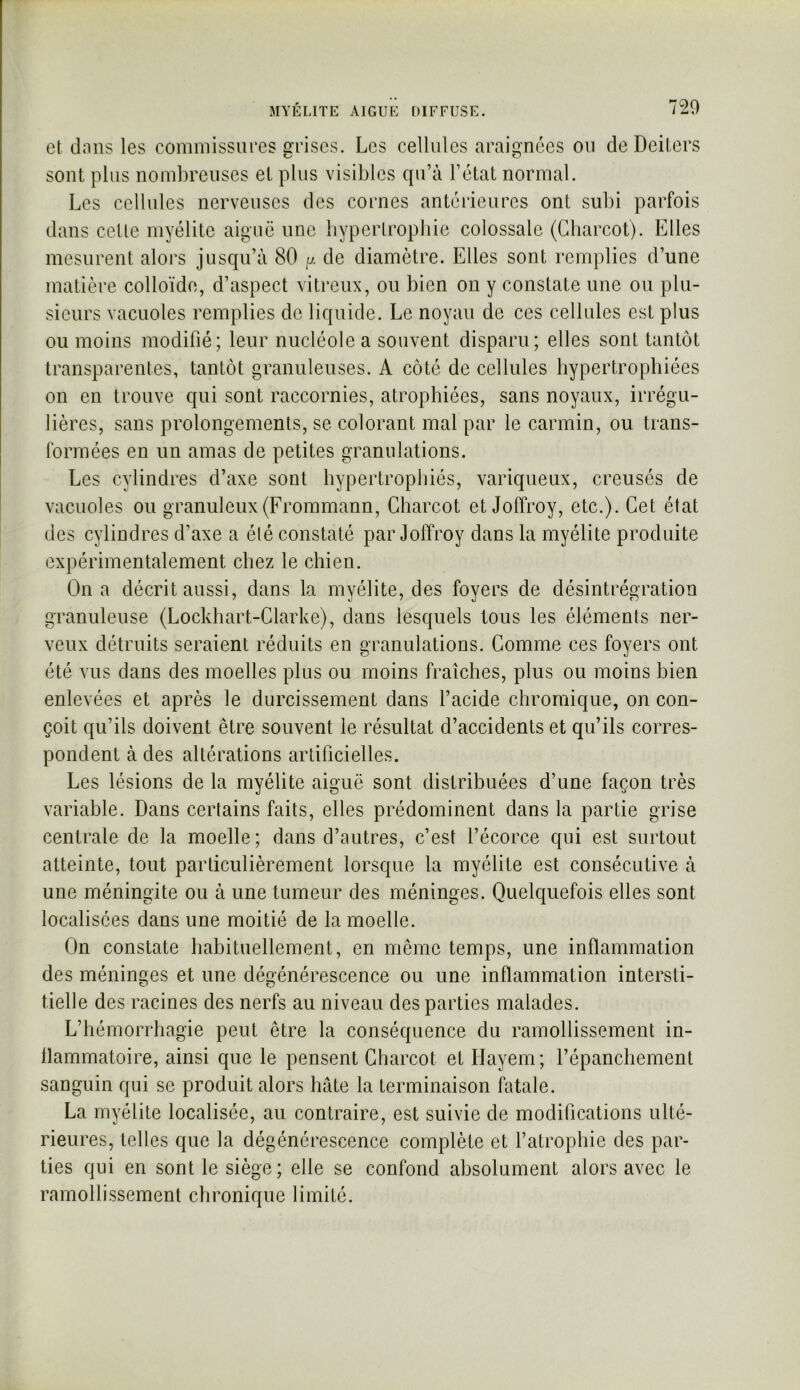 MYÉLITE AIGUE DIFFUSE. 720 et dans les comniissuFes srises. Les cellules araignées ou de Deilers sont plus nombreuses et plus visibles qu’à l’état normal. Les cellules nerveuses des cornes antérieures ont subi parfois dans celle myélite aiguë une byperlropbie colossale (Gbarcot). Elles mesurent alors jusqu’à 80 p. de diamètre. Elles sont remplies d’une matière colloïde, d’aspect vitreux, ou bien on y constate une ou plu- sieurs vacuoles remplies de liquide. Le noyau de ces cellules est plus ou moins modifié; leur nucléole a souvent disparu; elles sont tantôt transparentes, tantôt granuleuses. A côté de cellules bypertropbiées on en trouve qui sont raccornies, atrophiées, sans noyaux, irrégu- lières, sans prolongements, se colorant mal par le carmin, ou trans- formées en un amas de petites granulations. Les cylindres d’axe sont bypertropbiés, variqueux, creusés de vacuoles ou granuleux(Frommann, Charcot et Joffroy, etc.). Cet état des cylindres d’axe a été constaté par Joffroy dans la myélite produite expérimentalement chez le chien. On a décrit aussi, dans la myélite, des foyers de désintrégration granuleuse (Lockbart-Clarke), dans lesquels tous les éléments ner- veux détruits seraient réduits en granulations. Comme ces foyers ont été vus dans des moelles plus ou moins fraîches, plus ou moins bien enlevées et après le durcissement dans l’acide chromique, on con- çoit qu’ils doivent être souvent le résultat d’accidents et qu’ils corres- pondent à des altérations artificielles. Les lésions de la myélite aiguë sont distribuées d’une façon très variable. Dans certains faits, elles prédominent dans la partie grise centrale de la moelle; dans d’autres, c’est l’écorce qui est surtout atteinte, tout particulièrement lorsque la myélite est consécutive à une méningite ou à une tumeur des méninges. Quelquefois elles sont localisées dans une moitié de la moelle. On constate habituellement, en même temps, une inflammation des méninges et une dégénérescence ou une inflammation intersti- tielle des racines des nerfs au niveau des parties malades. L’hémorrhagie peut être la conséquence du ramollissement in- flammatoire, ainsi que le pensent Gbarcot et Ilayem; l’épanchement sanguin qui se produit alors hâte la terminaison fatale. La myélite localisée, au contraire, est suivie de modifications ulté- rieures, telles que la dégénérescence complète et l’atrophie des par- ties qui en sont le siège; elle se confond absolument alors avec le ramollissement chronique limité.