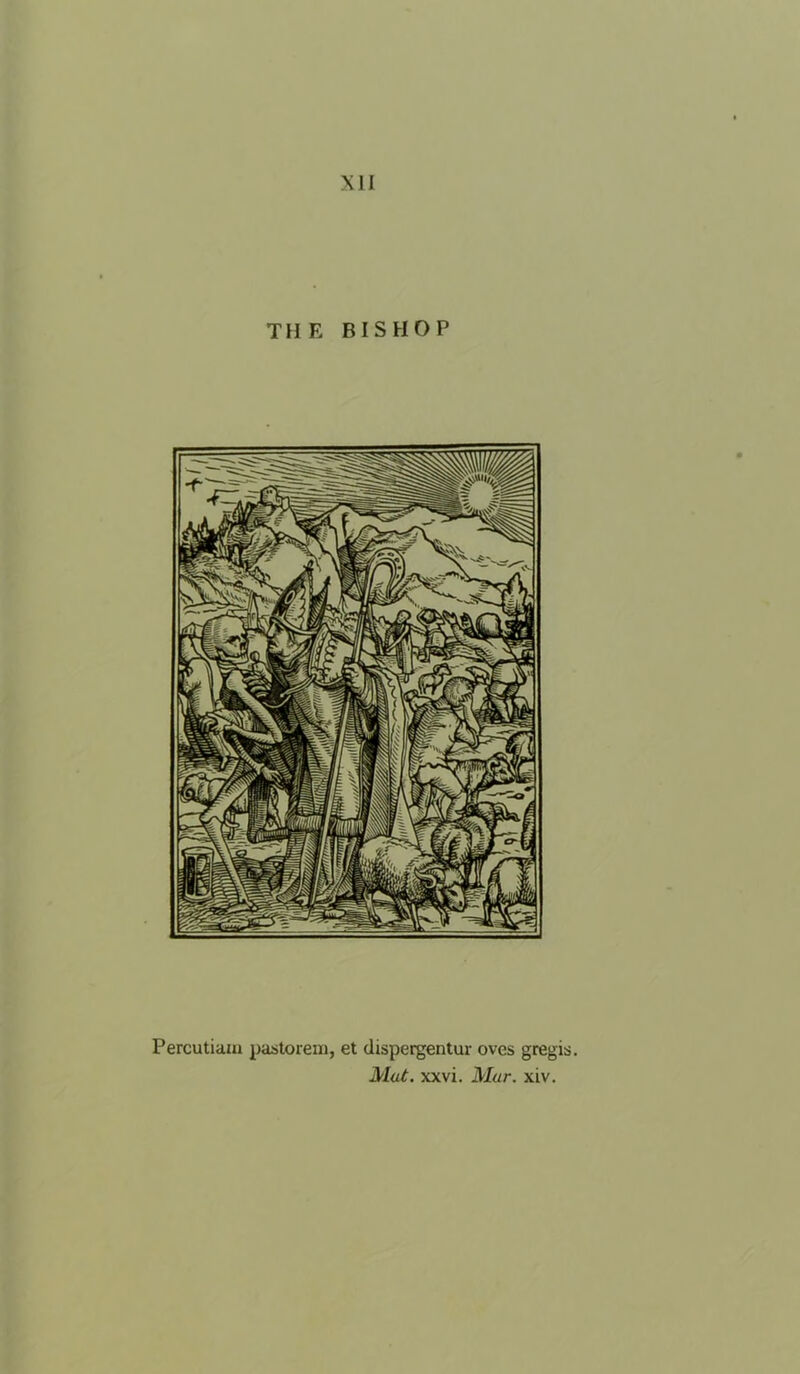 XII THE BISHOP Percutiaiu pastoreni, et clispergentur oves gregis.