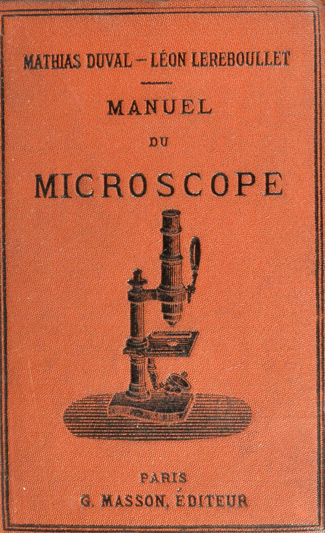 No text description is available for this image