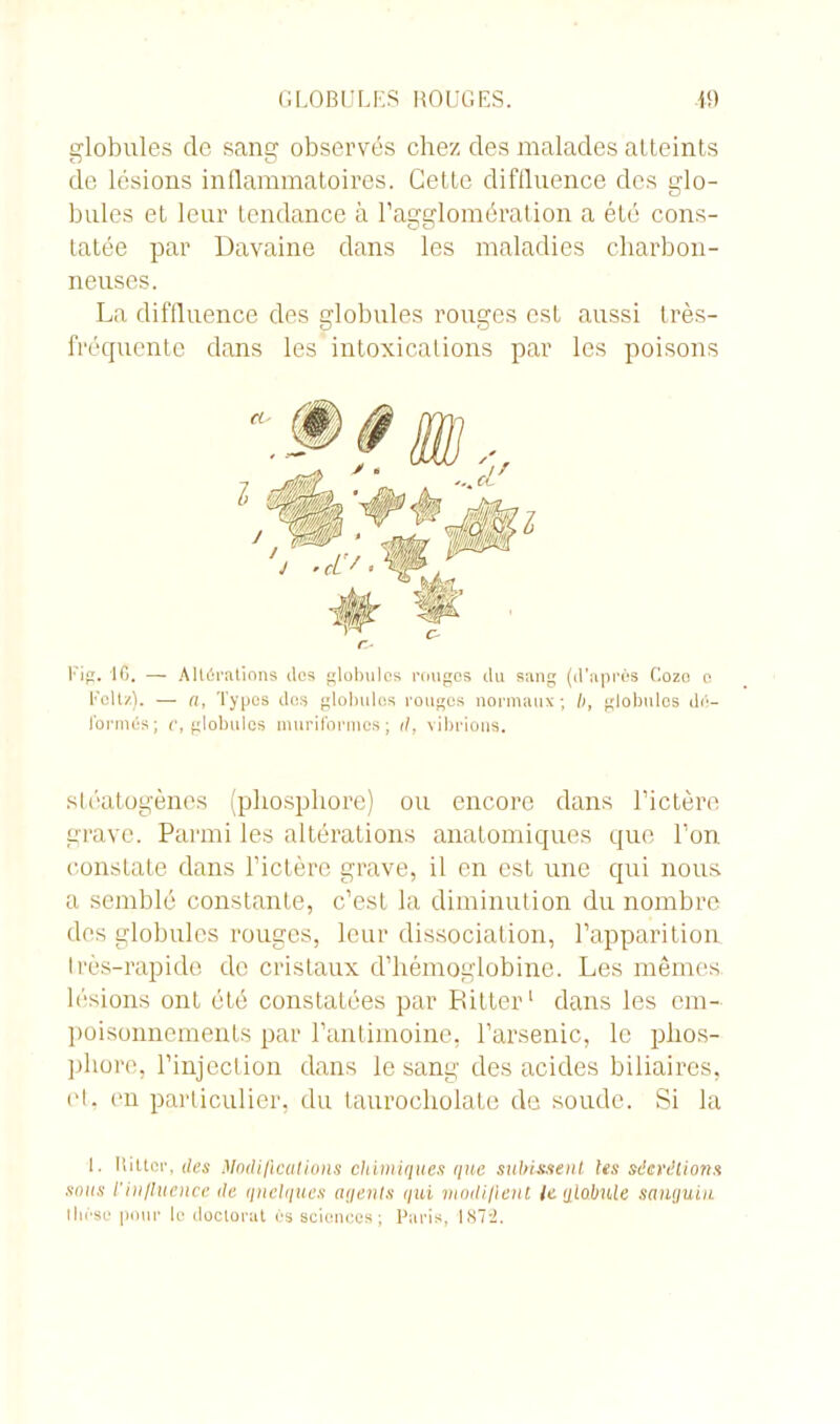 globules de sang observés chez des malades atteints de lésions inflammatoires. Cette diffluence des glo- bules et leur tendance à l’agglomération a été cons- tatée par Davaine dans les maladies charbon- neuses. La diffluence des globules rouges est aussi très- fréquente dans les intoxications par les poisons Foltz). — n, Types dos globules rougos normaux; l>, globules dé- formés; c, globules muriformes; d. vibrions. stéatogènes (phosphore) ou encore dans l’ictère grave. Parmi les altérations anatomiques que l’on constate dans l’ictère grave, il en est une qui nous a semblé constante, c’est la diminution du nombre des globules rouges, leur dissociation, l’apparition très-rapide de cristaux d’hémoglobine. Les mêmes lésions ont été constatées par Ritter1 dans les em- poisonnements par l’antimoine, l’arsenic, le phos- phore, l’injection dans le sang des acides biliaires, et. en particulier, du taurocholate de soude. Si la 1. lîittcr, îles Modifications chimiques que subissent les sécrétions sous ïinfluence de linéiques agents qui modifient le globule sanguin llit'sc pour le doctorat es sciences; Paris, 1872. r-