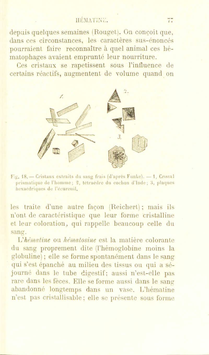 depuis quelques semaines (Rouget). On conçoit que. dans ces circonstances, les caractères sus-énoncès pourraient faire reconnaître à quel animal ces lié- matophages avaient emprunté leur nourriture. Ces cristaux se rapetissent sous l’influence de certains réactifs, augmentent de volume quand on Fig. 18.— Cristaux extraits du sang frais (d'après Funkc). — 1, Cristal prismatique do l'homme; 2, tétraèdre du cochon d'Inde; S, plaques hexaédriques do l’écureuil. les traite d’une autre façon (Reichert) ; mais ils n’ont de caractéristique que leur forme cristalline et leur coloration, qui rappelle beaucoup celle du sang. L'hématine ou hématosine est la matière colorante du sang proprement dite (l’hémoglobine moins la globuline) ; elle se forme spontanément dans le sang qui s’est épanché au milieu des tissus ou qui a sé- journé dans le tube digestif; aussi n’est-elle pas rare dans les fèces. Elle se forme aussi dans le sang abandonné longtemps dans un vase. L’hématine n’est pas cristallisable ; elle sc présente sous forme