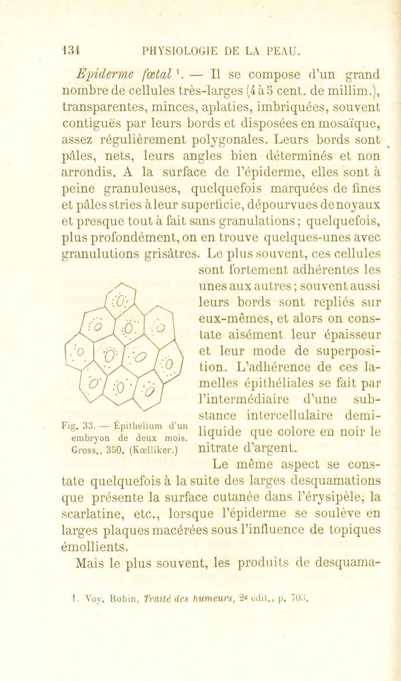 Épiderme fœtal — Il se compose d’un grand nombre de cellules très-larges (4 à5 cent, de millim.), transparentes, minces, aplaties, imbriquées, souvent contiguës par leurs bords et disposées en mosaïque, assez régulièrement polygonales. Leurs bords sont pâles, nets, leurs angles bien déterminés et non arrondis. A la surface de l’épiderme, elles sont à peine granuleuses, quelquefois marquées de fines et pâlesstries àleur superlicie, dépourvuesdenoyaux et presque tout à fait sans granulations ; quelquefois, plus profondément, on en trouve quelques-unes avec granulutions grisâtres. Le plus souvent, ces cellules sont fortement adhérentes les unes aux autres ; souvent aussi leurs bords sont repliés sur eux-mêmes, et alors on cons- tate aisément leur épaisseur et leur mode de superposi- tion. L’adhérence de ces la- melles épithéliales se fait par l’intermédiaire d’une sub- stance intercellulaire demi- liquide que colore en noir le nitrate d’argent. Le même aspect se cons- tate quelquefois à la suite des larges desquamations que présente la surface cutanée dans l’érysipèle, la scarlatine, etc., lorsque l’épiderme se soulève en larges plaques macérées sous l’influence de topiques émollients. Mais le plus souvent, les produits de desquama- Fig. 33. — Épithélium d'un embryon de deux mois. Gross., 350. (Kcelliker.) 1. Voy. Uobin, Traité des humeurs, -2« edi!., p. 703.