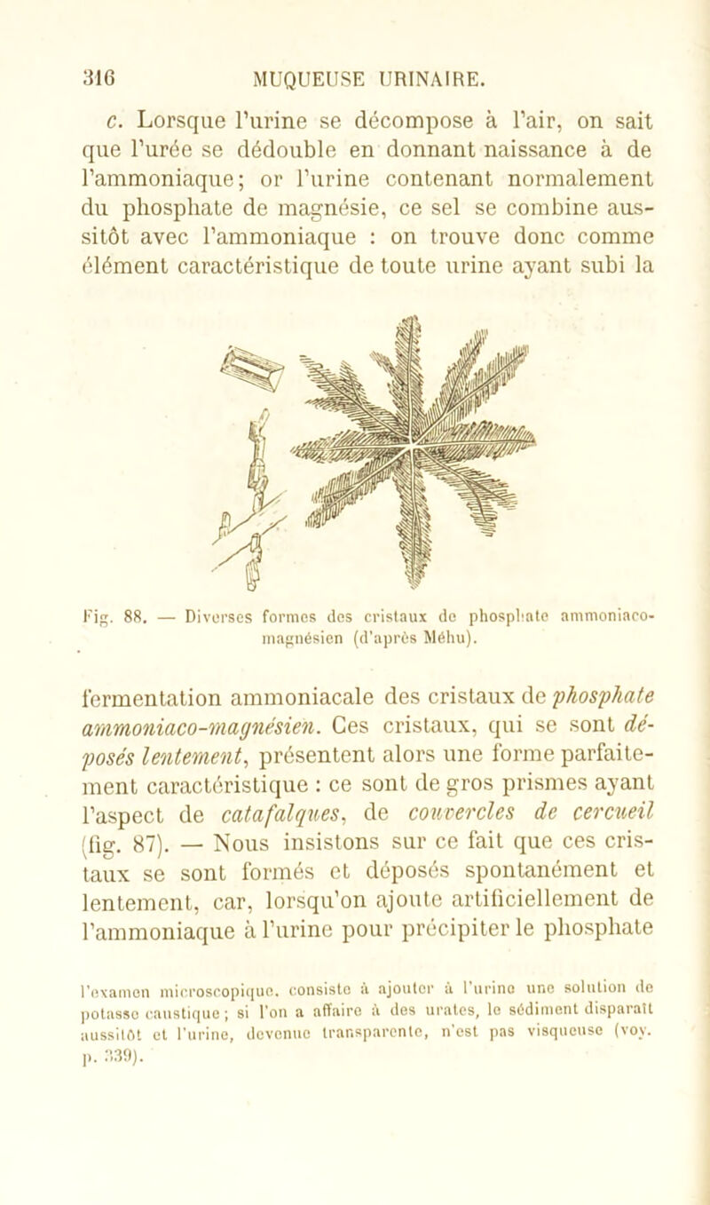 c. Lorsque l’urine se décompose à l’air, on sait que l’urée se dédouble en donnant naissance à de l’ammoniaque; or l’urine contenant normalement du phosphate de magnésie, ce sel se combine aus- sitôt avec l’ammoniaque : on trouve donc comme élément caractéristique de toute urine ayant subi la Fig. 88. — Diverses formes des cristaux de phosphate ammoniaeo- magnésien (d’après Mêhu). fermentation ammoniacale des cristaux de phosphate ammoniaco-magnésien. Ces cristaux, qui se sont dé- posés lentement, présentent alors une forme parfaite- ment caractéristique : ce sont de gros prismes ayant l’aspect de catafalques, de couvercles de cercueil (fig. 87). — Nous insistons sur ce fait que ces cris- taux se sont formés et déposés spontanément et lentement, car, lorsqu’on ajoute artificiellement de l’ammoniaque à l’urine pour précipiter le phosphate l’examen microscopique, consiste à ajouter à l’urine une solution de potasse caustique ; si l’on a affaire h des uratos, le sédiment disparaît aussitôt et l’urine, devenue transparente, n'est pas visqueuse (voy. P. 839).