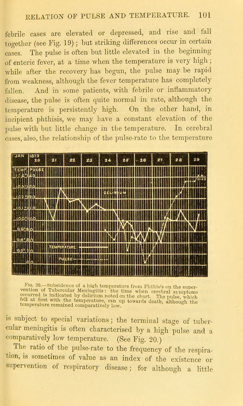 febrile cases are elevated or depressed, and rise and fall together (see Fig. 19); but striking differences occur in certain cases. The pulse is often but little elevated in the beginning of enteric fever, at a time when the temperature is very high ; while after the recovery has begun, the pulse may be rapid from weakness, although the fever temperature has completely fallen. And in some patients, with febrile or inflammatory disease, the pulse is often quite normal in rate, although the temperature is persistently high. On the other hand, in incipient phthisis, we may have a constant elevation of the pulse with but little change in the temperature. In cerebral cases, also, the relationship of the pulse-rate to the tempei’ature Fig. 20.—Subsidence of a high temperature from Phthisis on the super- vention of Tubercular Meningitis: the time when cerebral symptoms occurred is indicated by delirium noted on the chart. The pulse, which tell at first with the temperature, ran up towards death, although the temperature remained comparatively low. is subject to special variations; the terminal stage of tuber- cular meningitis is often characterised by a high pulse and a comparatively low temperature. (See Fig. 20.) . The ratio of the pulse-rate to the frequency of the respira- tion, is sometimes of value as an index of the existence or supervention of respiratory disease; for although a little