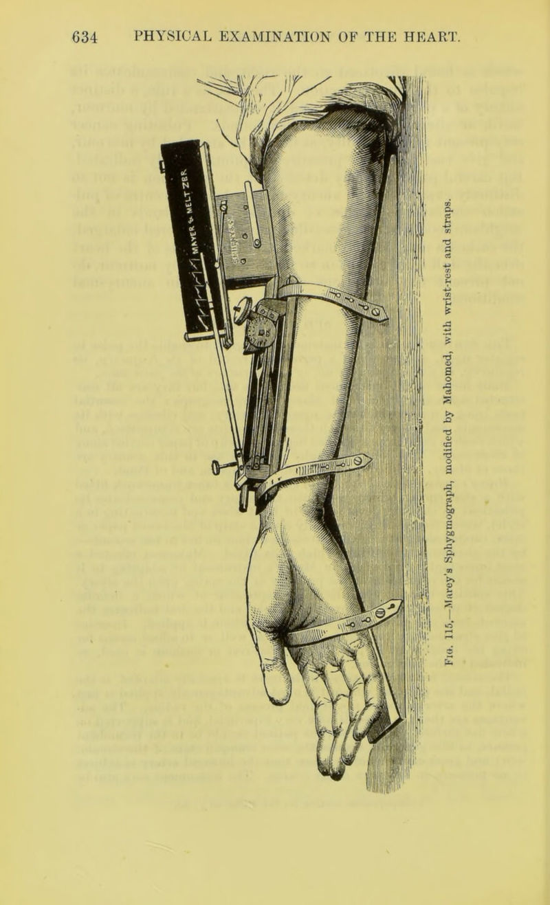 Fio. 115.—Marey’a Spliygrnograph, modified by Mahomed, with wrist-rest and straps.