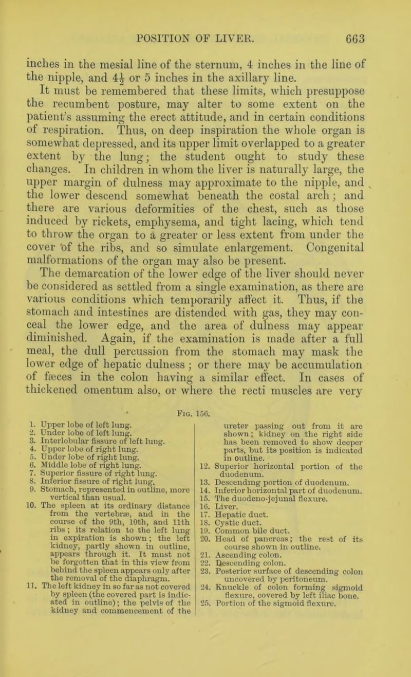 inches in the mesial line of the sternum, 4 inches in the line of the nipple, and 4| or 5 inches in the axillary line. It must be remembered that these limits, which presuppose the recumbent posture, may alter to some extent on the patient’s assuming the erect attitude, and in certain conditions of respiration. Thus, on deep inspiration the whole organ is somewhat depressed, and its upper limit overlapped to a greater extent by the lung; the student ought to study these changes. In children in whom the liver is naturally large, the upper margin of dulness may approximate to the nipple, and , the lower descend somewhat beneath the costal arch; and there are various deformities of the chest, such as those induced by rickets, emphysema, and tight lacing, which tend to throw the organ to a greater or less extent from under the cover 'of the ribs, and so simulate enlargement. Congenital malformations of the organ may also be present. The demarcation of the lower edge of the liver should never be considered as settled from a single examination, as there are various conditions which temporarily affect it. Thus, if the stomach and intestines are distended with gas, they may con- ceal the lower edge, and the area of dulness may appear diminished. Again, if the examination is made after a full meal, the dull percussion from the stomach may mask the lower edge of hepatic dulness ; or there may be accumulation of fseces in the colon having a similar effect. In cases of thickened omentum also, or where the recti muscles are very • Fio. 1. Upper lobe of left lvmg. 2. Under lobe of left lung. 3. Interlobular fissure of left lung. 4. Upper lobe of right lung. 5. Under lobe of right lung. 6. Middle lobe of right lung. 7. Superior fissure of right lung. 8. Inferior fissure of right lung. 9. Stomach, represented in outline, more vertical than usual. 10. The spleen at its ordinary distance from the vertebrae, and in the course of the 9th, 10th, and 11th ribs; its relation to the left lung in expiration is shown; the left kidney, partly shown in outline, appears through it. It must not be forgotten that in this view from behind the spleen appears only after the removal of the diaphragm. 11. The left kidney in so far as not covered by spleen (the covered part is indic- ated in outline); the pelvis of the kidney and commencement of the 150. ureter passing out from it are shown; kidney on the right side has been removed to show deeper parts, but its position is indicated in outline. 12. Superior horizontal portion of the duodenum. 13. Descending portion of duodenum. 14. Inferior horizontal part of duodenum. 15. The duodeno-jejunal flexure. 16. Liver. 17. Hepatic duct. 18. Cystic duct. 19. Common bile duct. 20. Head of pancreas; the rest of its course shown in outline. 21. Ascending colon. 22. Descending colon. 23. Posterior surface of descending colon uncovered by peritoneum. 24. Knuckle of colon forming sigmoid flexure, covered by left iliac boue. 26. Portion of the sigmoid flexure.