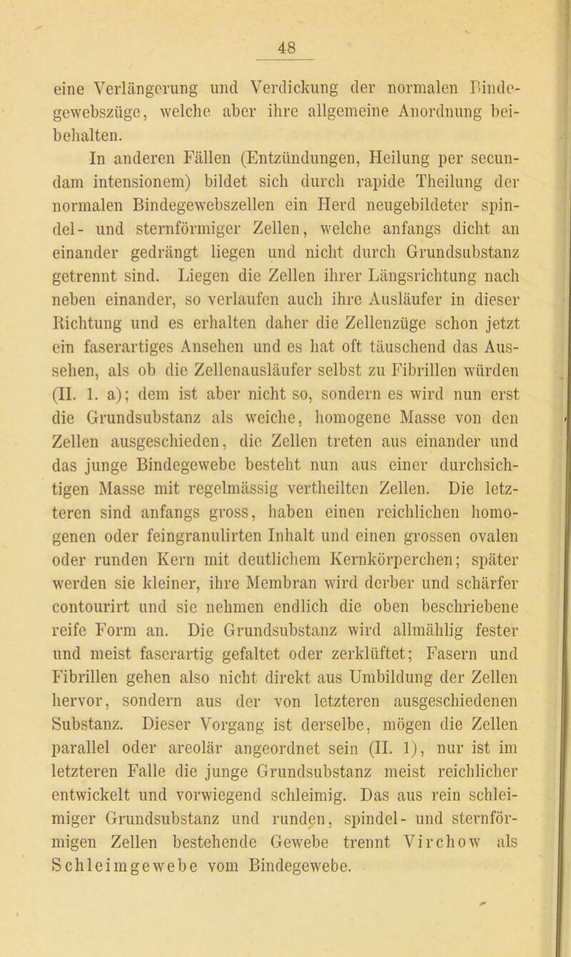 eine Verlängerung und Verdickung der normalen r>indo- gewebszüge, welche aber ihre allgemeine Anordnung bei- belialten. In anderen Fällen (Entzündungen, Heilung per secun- dam intensionem) bildet sich durch rapide Theilung der normalen Bindegewebszellen ein Herd neugebildeter Spin- del- und sternförmiger Zellen, welche anfangs dicht an einander gedrängt liegen und nicht durch Grundsubstanz getrennt sind. liiegen die Zellen ihrer Längsrichtung nach neben einander, so verlaufen auch ihre Ausläufer in dieser Richtung und es erhalten daher die Zellenzüge schon jetzt ein faserartiges Ansehen und es hat oft täuschend das Aus- sehen, als ob die Zellenausläufer selbst zu Fibrillen würden (II. 1. a); dem ist aber nicht so, sondern es wird nun erst die Grundsubstanz als weiche, homogene Masse von den Zellen ausgeschieden, die Zellen treten aus einander und das junge Bindegewebe besteht nun aus einer durchsich- tigen Masse mit regelmässig vertheiltcn Zellen. Die letz- teren sind anfangs gross, haben einen reichlichen homo- genen oder feingranulirten Inhalt und einen grossen ovalen oder runden Kern mit deutlichem Kernkörperchen; später werden sie kleiner, ihre Membran wird derber und schärfer contourirt und sie nehmen endlich die oben beschriebene reife Form an. Die Grundsubstanz wird allmählig fester und meist faserartig gefaltet oder zerklüftet; Fasern und Fibrillen gehen also nicht direkt aus Umbildung der Zellen hervor, sondern aus der von letzteren ausgeschiedenen Substanz. Dieser Vorgang ist derselbe, mögen die Zellen parallel oder areolär angeordnet sein (II. 1), nur ist im letzteren Falle die junge Grundsubstanz meist reichlicher entwickelt und vorwiegend schleimig. Das aus rein schlei- miger Grundsubstanz und runden, Spindel- und sternför- migen Zellen bestehende Gewebe trennt Virchow als Sch leim ge webe vom Bindegewebe.