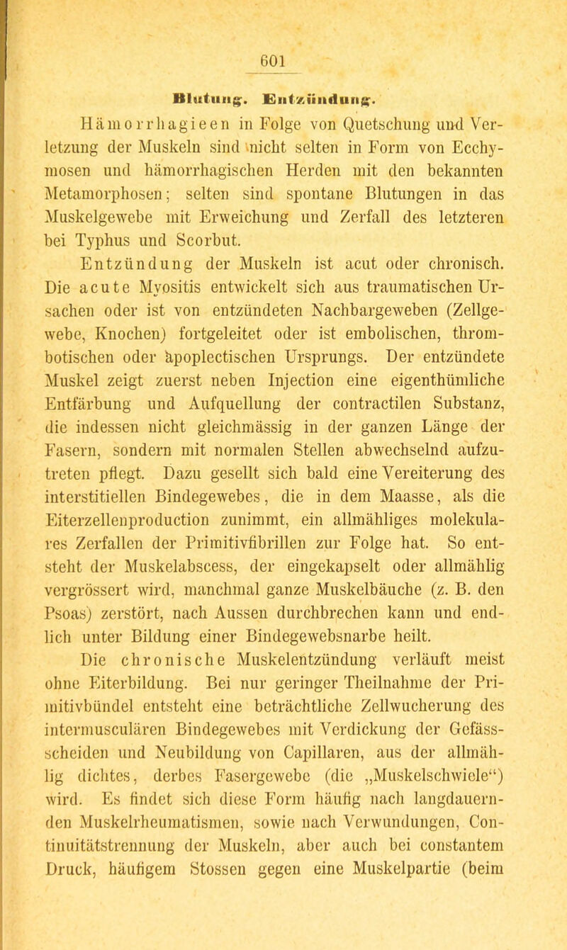 Blutiiiigp. diitKÜiiduiijS'. Hämoi iiiagieen in Folge von Quetschung und Ver- letzung der Muskeln sind micht selten in Form von Ecchy- mosen und hämorrhagischen Herden mit den bekannten Metamorphosen; selten sind spontane Blutungen in das Muskelgewebe mit Erweichung und Zerfall des letzteren bei Typhus und Scorbut. Entzündung der Muskeln ist acut oder chronisch. Die acute Myositis entwickelt sich aus traumatischen Ur- sachen oder ist von entzündeten Nachbargeweben (Zellge- webe, Knochen) fortgeleitet oder ist embolischen, throm- botischen oder äpoplectischen Ursprungs. Der entzündete Muskel zeigt zuerst neben Injection eine eigenthümliche Entfärbung und Aufquellung der contractilen Substanz, die indessen nicht gleichmässig in der ganzen Länge der Fasern, sondern mit normalen Stellen abwechselnd aufzu- treten pflegt. Dazu gesellt sich bald eine Vereiterung des interstitiellen Bindegewebes, die in dem Maasse, als die Eiterzellenproduction zunimrat, ein allmähliges molekula- res Zerfallen der Priraitivfibrillen zur Folge hat. So ent- steht der Muskelabscess, der eingekapselt oder allmählig vergrössert wird, manchmal ganze Muskelbäuche (z. B. den Psoas) zerstört, nach Aussen durchbrechen kann und end- lich unter Bildung einer Bindegewebsnarbe heilt. Die chronische Muskelentzündung verläuft meist ohne Pliterbildung. Bei nur geringer Theilnahme der Pri- mitivbündel entsteht eine beträchtliche Zellwucherung des intermusculären Bindegewebes mit Verdickung der Gefäss- scheiden und Neubildung von Capillaren, aus der alhnäh- lig dichtes, derbes Fasergewebe (die „Muskelschwiele“) wird. Es findet sich diese I’orni häufig nach langdauern- den Muskelrheumatismen, sowie nach Verwundungen, Con- tinuitätstrennung der Muskeln, aber auch bei constantem Druck, häufigem Stosseu gegen eine Muskelpartie (beim