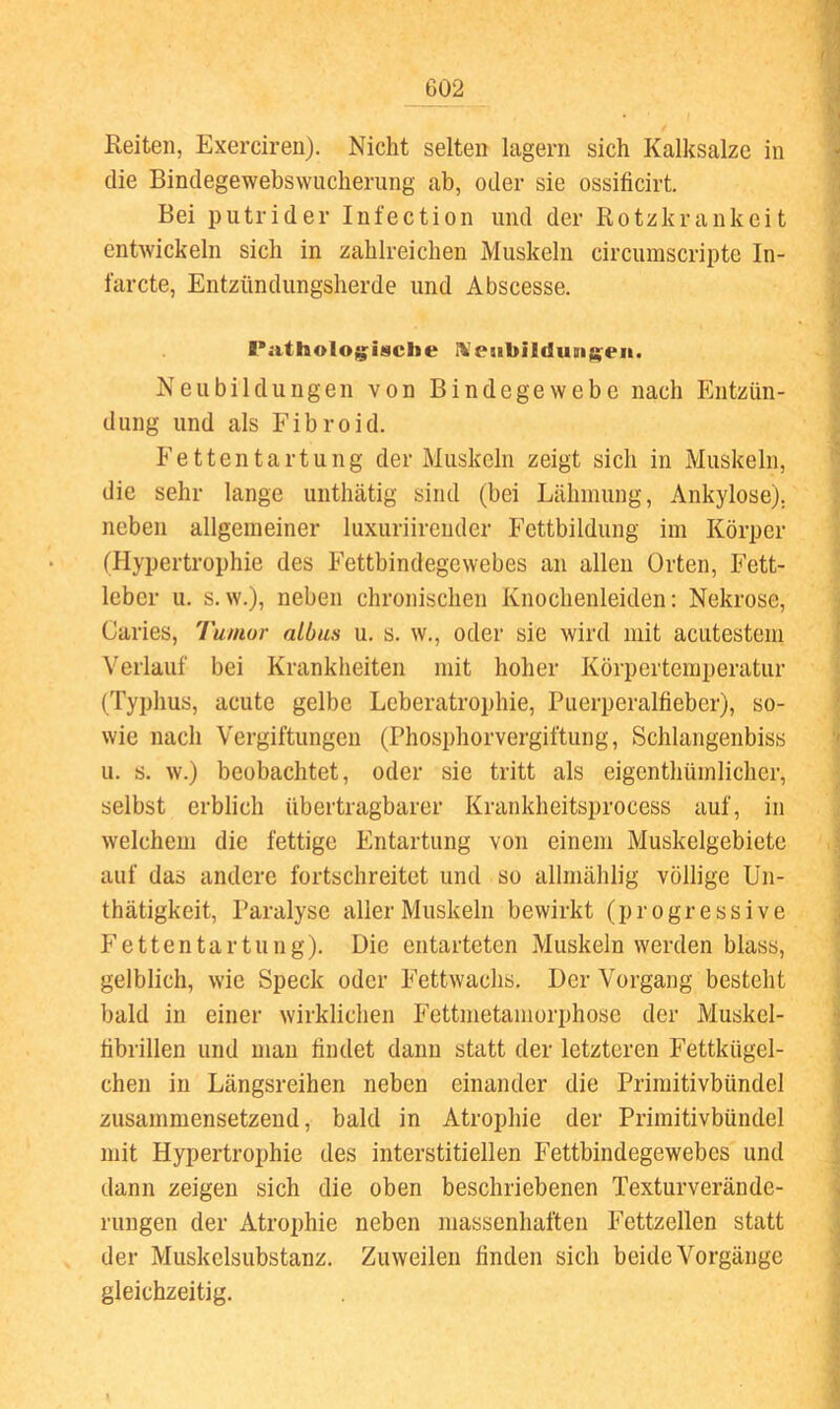 Reiten, Exercireu). Nicht selten lagern sich Kalksalzc in die Bindegewebswiicherung ab, oder sie ossificirt. Bei putrider Infection und der Rotzkrank eit entwickeln sich in zahlreichen Muskeln circumscripte In- farcte, Entzündungsherde und Abscesse. I*atholoj[;i8clie IVeiibildugigeii. Neubildungen von Bindegewebe nach Phitzün- dung und als Fibroid. Fettentartung der Muskeln zeigt sich in Muskeln, die sehr lange unthätig sind (bei Lähmung, Ankylose), neben allgemeiner luxuriireiider Fettbildung im Körper (Hypertrophie des Fettbindegewebes an allen Orten, Fett- leber u. s.w.), neben chronischen Knochenleiden; Nekrose, Garies, Tumor albus u. s. w., oder sie wird mit acutestem Verlauf bei Krankheiten mit hoher Körpertemperatur (Typhus, acute gelbe Leberatrophie, Puerperalfieber), so- wie nach Vergiftungen (Phosphorvergiftung, Schlangenbiss u. s. w.) beobachtet, oder sie tritt als eigenthümlichcr, selbst erblich übertragbarer Krankheitsprocess auf, in welchem die fettige Entartung von einem Muskelgebiete auf das andere fortschreitet und so allmählig völlige Un- thätigkeit, Paralyse aller Muskeln bewirkt (progressive P’ettentartung). Die entarteten Muskeln werden blass, gelblich, wie Speck oder Fettwachs. Der Vorgang besteht bald in einer wirklichen Fettmetamorphose der Muskel- tibrillen und man findet dann statt der letzteren Fettkügel- chen in Längsreihen neben einander die Primitivbündel zusammensetzend, bald in Atrophie der Primitivbündel mit Hypertrophie des interstitiellen Fettbindegewebes und dann zeigen sich die oben beschriebenen Texturverände- rungen der Atrophie neben massenhaften Fettzellen statt der Muskelsubstanz. Zuweilen finden sich beide Vorgänge gleichzeitig.