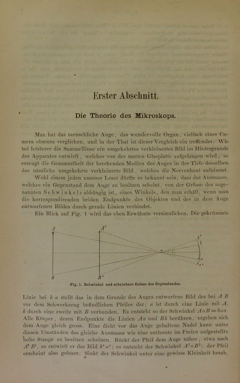 Erster Absclmitt. Die Theorie des Mikroskops. Man hat das menschliche Auge, das wundervolle Organ, vielfach einer Ca- mera ohscura verglichen, und in der That ist dieser Vergleich ein trcflcnder. Wie bei letzterer die Sammellinse ein umgekehrtes verkleinertes Jlild im Hintergründe des A))parates entwirft, welches von der matten Glasplatte aufgefangen wird , so erzeugt die Gesammtheit der brechenden Medien des Auges in der Tiefe desselben das nämliche umgekehrte verkleinerte Hild , welches die Nervenhaut aufnimmt. Wohl einem jeden unserer I.eser dürfte es bekannt sein, dass das Au.smaass, welches ein Gegenstand dem Auge zu besitzen scheint, von der Grösse des soge- nannten Seh winkels abhängig ist, eines Winkels, den man erhält, wenn man die korrespondirenden beiden Endpunkte des Objektes und des in dem Auge entworfenen Bildes durch gerade Linien verbindet. Ein Blick auf Fig. 1 wird das eben Erwähnte versinnlichen. Oie gekrümmte I.inic bei h a stellt das in dem Grunde des Auges entworfene Bild des bei A B vor dem SebWerkzeug befindlichen Pfeiles dar; a ist durch eine Linie mit A, b durch eine zweite mit B verbunden. Es entsteht so der Sehwinkcl AoB — hoa. Alle Körper , deren Endpunkte die I.inien .<4« und berühren, ergeben sich dem Auge gleich gross. Eine dicht vor das Auge gehaltene Nadel kann unter diesen Ilmständen das gleiche Ausmaass wie eine entfernte im Freien autgestellte liohe Stange zu besitzen sebeinen. Rückt der Pfeil dem Auge näher, etwa nach A' B^, .so entwirft er das Bild es entsteht der Sehwinkel A'oB' -, der Pfeil erscheint also grösser. Sinkt der Sehwinkcl unter eine gewisse Kleinheit herab,