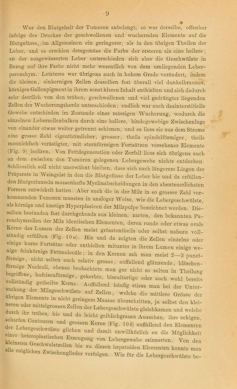 Was den Blutgehalt der Tumoren anbelangt, so war derselbe, offenbar infolge des Druckes der geschwollenen und wuchernden Elemente auf die Blutgefässe, /im Allgemeinen ein geringerer, als in den übrigen Theilen der Leber, und es erschien demgemäss die Farbe der ersteren als eine hellere; an der ausgewässerten Leber unterschieden sich aber die Geschwülste in Bezug auf ihre Farbe nicht mehr wesentlich von dem umliegenden Leber- parenchym. Letzteres war übrigens auch in hohem Grade verändert, indem die kleinen, einkernigen Zellen desselben fast überall viel dunkelbraunes, körniges Gallenpigment in ihrem sonst klaren Inhalt enthielten und sich dadurch sehr deutlich von den trüben, geschwollenen und viel gedrängter liegenden Zellen der AVucherungsherde unterschieden; endlich war auch dasinterstitielle Gewebe entschieden im Zustande einer massigen Wucherung, wodurch die einzelnen Leberzellenbalken durch eine hellere, bindegewebige Zwischenlage von einander etwas weiter getrennt schienen, und es liess sic aus dem Stroma eine grosse Zahl eigenthümlicher, grosser, theils spindelförmiger, theils mannichfach verästigter, mit sternförmigen Fortsätzen versehener Elemente ilig- 9) isoliien. Von Fettdegeneration oder Zerfall liess sich übrigens auch an dem zwischen den Tumoren gelegenen Lebergewebe nichts entdecken. Schliesslich soll nicht unerwähnt bieiben, dass sich nach längerem Liegen der Präparate m Weingeist in den die Blutgefässe der Leber hie und da erfüllen- den Blutgerinnseln massenhafte Myelinabscheidungen in den abenteuerlichsten bormen entwickelt hatten. Aber auch die in der Milz in so grosser Zahl vor- kommenden Tumoren mussten in analoger Weise, wie die Lebergeschwülste, als körnige und knotige Hyperplasieen der Milzpulpe bezeichnet werden. Die- selben bestanden fast durchgehends aus kleinen, zarten, den bekannten Pa- renchymzellen der Milz identischen Elementen, deren runde oder etwas ovale Kerne das Lumen der Zellen meist grösstentheils oder selbst nahezu voll- ständig erfüllten (Fig. 10a). Hie und da zeigten die Zellen einzelne oder einige kurze Fortsätze oder enthielten mitunter in ihrem Lumen einige we- nige ein omige Fettmolecüle; m den Kernen sah man meist 2—3 punct- ormige, nicht selten auch relativ grosse, auffallend glänzende, bläschen- oinnge i ucleoh, ebenso beobachtete man gar nicht so selten in Theilung begriffene, hufeisenförmige, gekerbte, biscuitartige oder auch wohl bereits vollständig getheilte Kerne. Auffallend häufig stiess man bei der Unter- Mllzgescbwülste auf Zellen, welche die mittlere Grösse der ne n öl h ,6 “ geringem Hausse überschritten, ja selbst den klei- du ch t rrSTSeU Zdlen dei' Lebergeschwülste gleichkamen und welche sei - A 1'n ’ U1Kl da leicht g^Kcbgraues Aussehen, ihre eckigen, der'T ol °n 77 Und gr0Ssen Kerne (f’ig- 105) auffallend den Elementen einP1.\7eS7VÜlSte ghChen Und Ckmit unwiHkürlich an die Möglichkeit kleine 6 p°P astlScben Erzeugung von Lebergewebe erinnerten. Von den alle möglich?0 WU.IstZellen bls zu diesen bepatoiden Elementen konnte man g hen Zwischenglieder verfolgen. Wie für die Lebergeschwülste be-