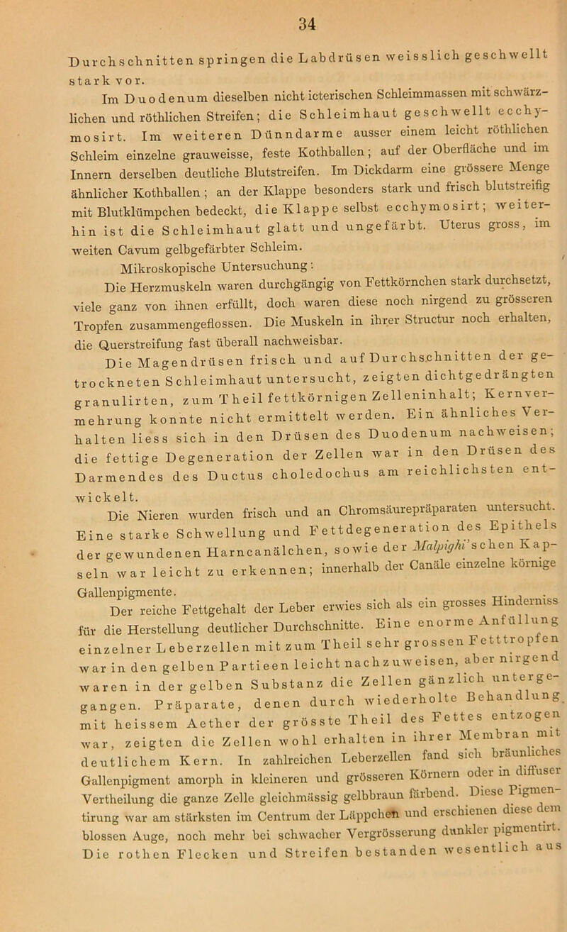 Durchschnitten springen die Labdrüsen weisslich geschwellt stark vor. Im Duodenum dieselben nicht icterischen Schleimmassen mit schwärz- lichen und röthlichen Streifen; die Schleimhaut geschwellt ecchy- mosirt. Im weiteren Dünndarme ausser einem leicht röthlichen Schleim einzelne grauweisse, feste Kothballen; auf der Oberfläche und im Innern derselben deutliche Blutstreifen. Im Dickdarm eine grössere Menge ähnlicher Kothballen ; an der Klappe besonders stark und frisch blutstreifig mit Blutklümpchen bedeckt, die Klappe selbst ecchymosirt; weiter- hin ist die Schleimhaut glatt und ungefärbt. Uterus gross, im weiten Cavum gelbgefärbter Schleim. Mikroskopische Untersuchung: Die Herzmuskeln waren durchgängig von Fettkörnchen stark durchsetzt, viele ganz von ihnen erfüllt, doch waren diese noch nirgend zu grösseren Tropfen zusammengeflossen. Die Muskeln in ihrer Structur noch erhalten, die Querstreifung fast überall nachweisbar. Die Magendrüsen frisch und auf Durchschnitten der ge- trockneten Schleimhaut untersucht, zeigten dichtgedrängten granulirten, zum Theil fettkörnigen Zelleninhalt;. Kernver- mehrung konnte nicht ermittelt werden. Ein ähnliches Ver- halten liess sich in den Drüsen des Duodenum nachweisen; die fettige Degeneration der Zellen war in den Drüsen des Darmendes des Ductus choledochus am reichlichsten ent- ^'dV Nieren wurden frisch und an Chromsäurepräparaten untersucht. Eine starke Schwellung und Fettdegeneration des Epithels der bewundenen Harncanälchen, sowie der Malpighi sehen vap sein war leicht zu erkennen; innerhalb der Canäle einzelne körnige Gallenpigmente. . , Der reiche Fettgehalt der Leber erwies sich als ein grosses Hinderniss für die Herstellung deutlicher Durchschnitte. Eine enorme Anfüllung einzelner Leberzellen mit zum Theil sehr grossen Fetttropfen war in den gelben P artieen leicht nachzuweisen, aber nirgend waren in der gelben Substanz die Zellen gänzlich unterge- gangen. Präparate, denen durch wiederholte Behandlung, mit heissem Aetlier der grösste Theil des bettes entzöge war, zeigten die Zellen wohl erhalten in ihrer Membran n deutlichem Kern. In zahlreichen Leberzellen fand sich braun ic es Gallenpigment amorph in kleineren und grösseren Kölnern oder in 1 Vertheilung die ganze Zelle glciclimässig gelbbraun färbend. Diese 1 feme tirung war am stärksten im Centrum der Läppchen und erschienen die.c blossen Auge, noch mehr bei schwacher Vergrösserung dunkler pigmen Die rothen Flecken und Streifen bestanden wesentlich aus