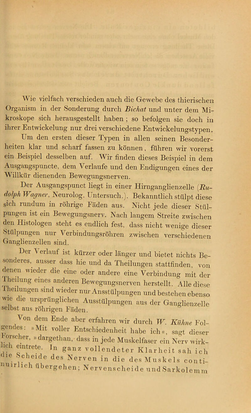 Wie vielfach verschieden auch die Gewebe des thierischen Organism in der Sonderung durch Bichat und unter dem Mi- kroskope sich herausgestellt haben ; so befolgen sie doch in ihrer Entwickelung nur drei verschiedene Entwickelungstypen. Um den ersten dieser Typen in allen seinen Besonder- heiten klar und scharf fassen zu können, führen wir vorerst ein Beispiel desselben auf. Wir finden dieses Beispiel in dem Ausgangspuncte, dem Verlaufe und den Endigungen eines der Willkür dienenden Bewegungsnerven. Der Ausgangspunct liegt in einer Hirnganglienzelle (Ru- dolph Wagner, Neurolog. Untersuch.). Bekanntlich stülpt diese sich rundum in röhrige Fäden aus. Nicht jede dieser Stül- pungen ist ein Bewegungsnerv. Nach langem Streite zwischen den Iiistologen steht es endlich fest, dass nicht wenige dieser Stülpungen nur Verbindungsröhren zwischen verschiedenen Ganglienzellen sind. Der V erlauf ist kürzer oder länger und bietet nichts Be- sonderes,. ausser dass hie und da Theilungen stattfinden, von denen wieder die eine oder andere eine Verbindung mit der Iheilung eines anderen Bewegungsnerven herstellt. Alle diese hei ungen sind wieder nur Ausstülpungen und bestehen ebenso wie die ursprünglichen Ausstülpungen aus der Ganglienzelle selbst aus röhrigen Fäden. Von dem Ende aber erfahren wir durch TU. Kühne Fol- gendes: »Mit voller Entschiedenheit habe ich«, sagt dieser i ,ei’ ” daigethau,- dass in jede Muskelfaser ein Nerv wirk- !?h ®mtrete- In ganz vollendeter Klarheit sah ich < ie bch ei de des Nerven in die des Muskels conti- nuiriich übergehen; Nervenscheide undSarkolemm