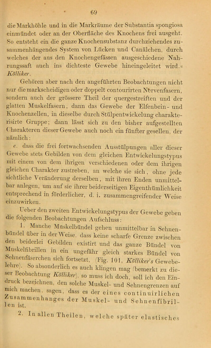 die Markhöhle und in die Markräume der Substantia spongiosa einmündet oder an der Oberfläche des Knochens frei ausgeht. So entsteht ein die ganze Knochensubstanz durchziehendes zu- sammenhängendes System von Lücken und Canälchen, durch Avelches der aus den Knochengefässen ausgeschiedene Nah- rungssaft auch ins dichteste Gewebe hineingeleitet wird.« Kölliker. Gehören aber nach den angeführten Beobachtungen nicht nur die markscheidigen oder doppelt contourirten Nervenfasern, sondern auch der grössere Theil der quergestreiften und der glatten Muskelfasern, dann das Gewebe der Elfenbein- und Knochenzellen, in dieselbe durch Stülpentwickelung charakte- risirte Gruppe; dann lässt sich zu den bisher aufgestellten C harakteren dieser Gewebe auch noch ein fünfter gesellen, der nämlich: e. dass die frei fortwachsenden Ausstülpungen aller dieser Gewebe stets Gebilden von dem gleichen Entwickelungstypus mit einem von dem ihrigen verschiedenen oder dem ihrigen gleichen Charakter zustreben, an welche sie sich, ohne jede sichtliche Veränderung derselben, mit ihren Enden unmittel- bar anlegen, um auf sie ihrer beiderseitigen Eigenthümlichkeit entsprechend in förderlicher, d. i. zusammengreifender Weise einzu wirken. Ueber den zweiten Entwickelungstypus der Gewebe geben die folgenden Beobachtungen Aufschluss : 1. Manche Muskelbündel gehen unmittelbar in Sehnen- bundei über in der Weise, dass keine scharfe Grenze zwischen den beiderlei Gebilden existirt und das ganze Bündel von uskelfibrillen m ein ungefähr gleich starkes Bündel von Sehnenfäserchen sich fortsetzt, (Fig. 101, KöUiker's Gewebe- lehre). So absonderlich es auch klingen mag (bemerkt zu die- - I?e°baChtimg Kölllker)i so muss ich doch, soll ich den Ein- . ' ' ezeichnen, den solche Muskel- und Sehnengrenzen auf ic mac en, sagen, dass es der eines continuirlichen Zusammenhanges der Muskel- und Sehnenfibril- len ist. 2. In allen Th eilen , welche später elastisches