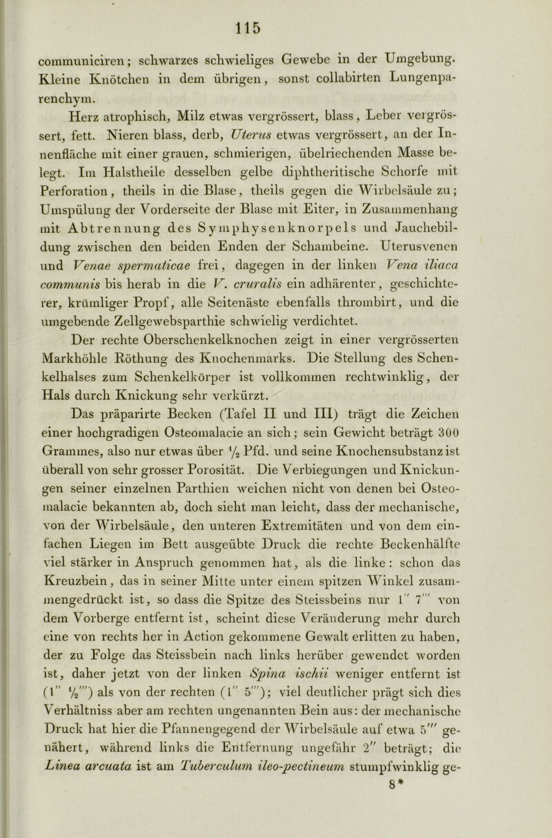 communiciren; schwarzes schwieliges Gewebe in der Umgebung. Kleine Knötchen in dem übrigen, sonst collabirten Lungenpa- renchym. Herz atrophisch, Milz etwas vergrössert, blass, Leber vergrös- sert, fett. Nieren blass, derb, Uterus etwas vergrössert, an der In- nenfläche mit einer grauen, schmierigen, übelriechenden Masse be- legt. Im Halstlieile desselben gelbe diphtheritische Schorfe mit Perforation, theils in die Blase, theils gegen die Wirbelsäule zu; Umspülung der Vorderseite der Blase mit Eiter, in Zusammenhang mit Abtrennung des Symphysenknorpels und Jauchebil- duns: zwischen den beiden Enden der Schambeine. Uterusvenen und Venae spermaticae frei, dagegen in der linken Vena iliaca communis bis herab in die V. cruralis ein adhärenter, geschichte- rer, krümliger Propf, alle Seitenäste ebenfalls thrombirt, und die umgebende Zellgewebsparthie schwielig verdichtet. Der rechte Oberschenkelknochen zeigt in einer vergrösserten Markhöhle Böthung des Knochenmarks. Die Stellung des Schen- kelhalses zum Schenkelkörper ist vollkommen rechtwinklig, der Hals durch Knickung sehr verkürzt. Das präparirte Becken (Tafel II und III) trägt die Zeichen einer hochgradigen Osteomalacie an sich: sein Gewicht beträgt 300 Grammes, also nur etwas über i/2 Pfd. und seine Knochensubstanz ist überall von sehr grosser Porosität. Die Verbiegungen und Knickun- gen seiner einzelnen Parthien weichen nicht von denen bei Osteo- malacie bekannten ab, doch sieht man leicht, dass der mechanische, von der Wirbelsäule, den unteren Extremitäten und von dem ein- fachen Liegen im Bett ausgeübte Druck die rechte Beckenhälfte viel stärker in Anspruch genommen hat, als die linke: schon das Kreuzbein, das in seiner Mitte unter einem spitzen Winkel zusam- mengedrückt ist, so dass die Spitze des Steissbeins nur 1 T von dem Vorberge entfernt ist, scheint diese Veränderung mehr durch eine von rechts her in Action gekommene Gewalt erlitten zu haben, der zu Folge das Steissbein nach links herüber gewendet worden ist, daher jetzt von der linken Spina ischii weniger entfernt ist (1 V2') als von der rechten (1 5'); viel deutlicher prägt sich dies Verhältniss aber am rechten ungenannten Bein aus: der mechanische Druck hat hier die Pfannengegend der Wirbelsäule auf etwa 5' ge- nähert, während links die Entfernung ungefähr 2 beträgt; die* Linea arcuata ist am Tuberculum ileo-pectineum stumpfwinklig ge- 8 *