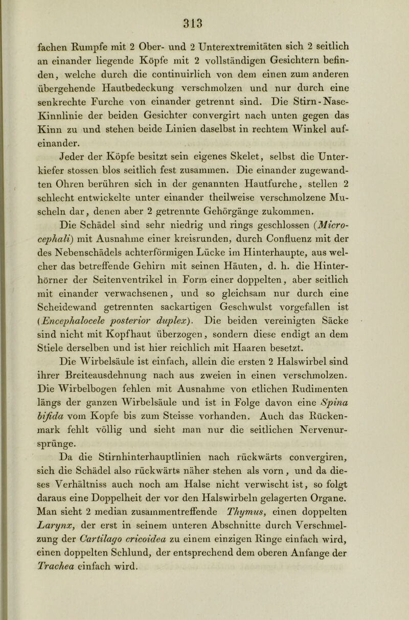fachen Rumpfe mit 2 Ober- und 2 Unterextremitäten sich 2 seitlich an einander liegende Köpfe mit 2 vollständigen Gesichtern befin- den , welche durch die continuirlich von dem einen zum anderen übergehende Hautbedeckung verschmolzen und nur durch eine senkrechte Furche von einander getrennt sind. Die Stirn-Nase- Kinnlinie der beiden Gesichter convergirt nach unten gegen das Kinn zu und stehen beide Linien daselbst in rechtem Winkel auf- einander. Jeder der Köpfe besitzt sein eigenes Skelet, selbst die Unter- kiefer stossen blos seitlich fest zusammen. Die einander zugewand- ten Ohren berühren sich in der genannten Hautfurche, stellen 2 schlecht entwickelte unter einander theilweise verschmolzene Mu- scheln dar, denen aber 2 getrennte Gehörgänge zukommen. Die Schädel sind sehr niedrig und rings geschlossen (Micro- cephali) mit Ausnahme einer kreisrunden, durch Confluenz mit der des Nebenschädels achterförmigen Lücke im Hinterhaupte, aus wel- cher das betreffende Gehirn mit seinen Häuten, d. h. die Hinter- hörner der Seitenventrikel in Form einer doppelten, aber seitlich mit einander verwachsenen, und so gleichsam nur durch eine Scheidewand getrennten sackartigen Geschwulst vorgefallen ist (Encephalocele posterior duplex). Die beiden vereinigten Säcke sind nicht mit Kopfhaut überzogen, sondern diese endigt an dem Stiele derselben und ist hier reichlich mit Haaren besetzt. Die Wirbelsäule ist einfach, allein die ersten 2 Halswirbel sind ihrer Breiteausdehnung nach aus zweien in einen verschmolzen. Die Wirbelbogen fehlen mit Ausnahme von etlichen Rudimenten längs der ganzen Wirbelsäule und ist in Folge davon eine Spina bifida vom Kopfe bis zum Steisse vorhanden. Auch das Rücken- mark fehlt völlig und sieht man nur die seitlichen Nervenur- sprünge. Da die Stirnhinterhauptlinien nach rückwärts convergiren, sich die Schädel also rückwärts näher stehen als vorn, und da die- ses Verhältniss auch noch am Halse nicht verwischt ist, so folgt daraus eine Doppelheit der vor den Halswirbeln gelagerten Organe. Man sieht 2 median zusainmentreffende Thymus, einen doppelten Larynx, der erst in seinem unteren Abschnitte durch Verschmel- zung der Cartilago cricoidea zu einem einzigen Ringe einfach wird, einen doppelten Schlund, der entsprechend dem oberen Anfänge der Trachea einfach wird.