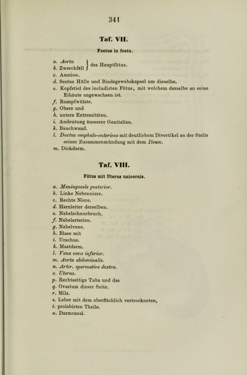 Taf. VII. Foetus in foetu. a. Aorta \ . „ 7 „ , . „ > des Hauptfötus. 0. Zwerchfell J c. Amnion. d. Seröse Hülle und Bindegewebskapsel um dieselbe. e. Kopfstiel des includirten Fötus, mit welchem derselbe an seine Eihäute angewachsen ist. f. Rumpfwülste. g. Obere und h. untere Extremitäten. 1. Andeutung äusserer Genitalien. k. Bauchwand. l. Ductus omphalo-entericus mit deutlichem Divertikel an der Stelle seiner Zusammenmündung mit dem Ileum. m. Dickdarm. Taf. VIII. Fötus mit Uterus unicornis. a. Meningocele posterior. b. Linke Nebenniere. c. Rechte Niere. d. Harnleiter derselben. e. Nabelschnurbruch. f. Nabelarterien. g. Nabelvene. h. Blase mit i. Urachus. k. Mastdarm. l. Vena cava inferior. m. Aorta abdominalis. n. Arter. spermatica dextra. o. Uterus. p. Rechtseitige Tuba und das q. Ovarium dieser Seite. r. Milz. s. Leber mit dem oberflächlich vertrockneten, t. prolabirten Theile. u. Darmcanal.
