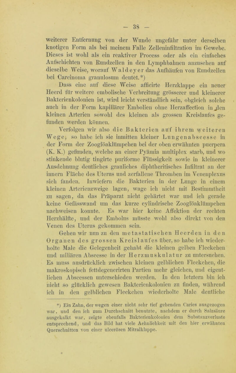 weiterer Entfernung von der Wunde ungefähr unter derselben knotigen Form nls bei meinem Falle Zelleninfiltration im Gewebe. Dieses ist wohl als ein reaktiver Process oder als ein einfaches Aufschichten von Bundzellen in den Lymphbabnen anzusehen auf dieselbe Weise, worauf Waldey er das Aufhäufen von Rundzellen bei Carcinoma granulosum deutet.*) Dass eine auf diese Weise afficirte Herzklappe ein neuer lleerd für weitere embolische Verbreitung grösserer und kleinerer Bakterienkolonien ist, wird leicht verständlich sein, obgleich solche auch in der Form kapillärer Embolien ohne Herzaffection in jlen kleinen Arterien sowohl des kleinen als grossen Kreislaufes ge- funden werden können. Verfolgen wir also die Bakterien auf ihrem weiteren Wege) so habe ich sie inmitten kleiner Lun gen ab sc esse in der Form der Zooglöaklümpehen bei der oben erwähnten puerpera (lv. K.) gefunden, welche an einer Pyämia multiplex starb, und wo stinkende blutig tingirte puriforme Flüssigkeit sowie in kleinerer Ausdehnung deutliches grauliches diphtheritisches Infiltrat an der innern Fläche des Uterus und zerfallene Thromben im Venenplexus sich fanden. Inwiefern die Bakterien in der Lunge in einem kleinen Arterienzweige lagen, wage ich nicht mit Bestimmtheit zu sagen, da das Präparat nicht gehärtet war und ich gerade keine Gefässwand um das kurze cylindrische Zooglöaklümpehen nachweisen konnte. Es war hier keine Affektion der rechten Herzhälfte, und der Embolus müsste wohl also direkt von den Venen des Uterus gekommen sein. Gehen wir nun zu den metastatischen Heer den in den 0 r g an e n des grossen K r e i s 1 a u f e s über, so habe ich wieder- holte Male die Gelegenheit gehabt die kleinen gelben Fleckchen und miliären Abscesse in der Herzmuskulatur zu untersuchen. Es muss ausdrücklich zwischen kleinen gelblichen Fleckchen, die makroskopisch fettdegenerirten Partien mehr gleichen, und eigent- lichen Abscessen unterschieden werden. In den letztem bin ich nicht so glücklich gewesen Bakterienkolonien zu finden, während ich in den gelblichen Fleckchen wiederholte Male deutliche *) Ein Zahn, der wegen einer nicht sehr tief gehenden Caries ausgezogen war, und den ich zum Durchschnitt benutzte, nachdem er durch Salzsäure ausgekalkt war, zeigte ebenfalls Bakterienkolonien dem Substanzverluste entsprechend, und das Bild hat viele Aehulichkeit mit den hier erwähnten Querschnitten von einer ulcerüsen Mitralklappe.