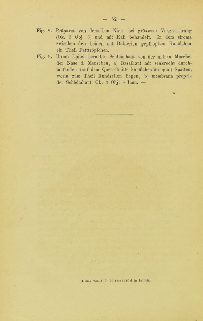 Fig. 8. Präparat von derselben Niere bei grösserer Vergrösserung (Ok. 3 Obj. 8) und mit Kali behandelt. In dem stroma zwischen den beiden mit Bakterien gepfropften Kanälchen ein Theil Fetttröpfchen. Fig. 9. Ihrem Epitel beraubte Schleimhaut von der untern Muschel der Nase d. Menschen, a) Basalhaut mit senkrecht durch- laufenden (auf dem Querschnitte kanälchenförmigen) Spalten, worin zum Theil Rundzellen liegen, b) membrana propria der Schleimhaut. Ok. 3 Obj. 9 Imm. — Druck Ton J. B. Hirschfeld in Leipzig.