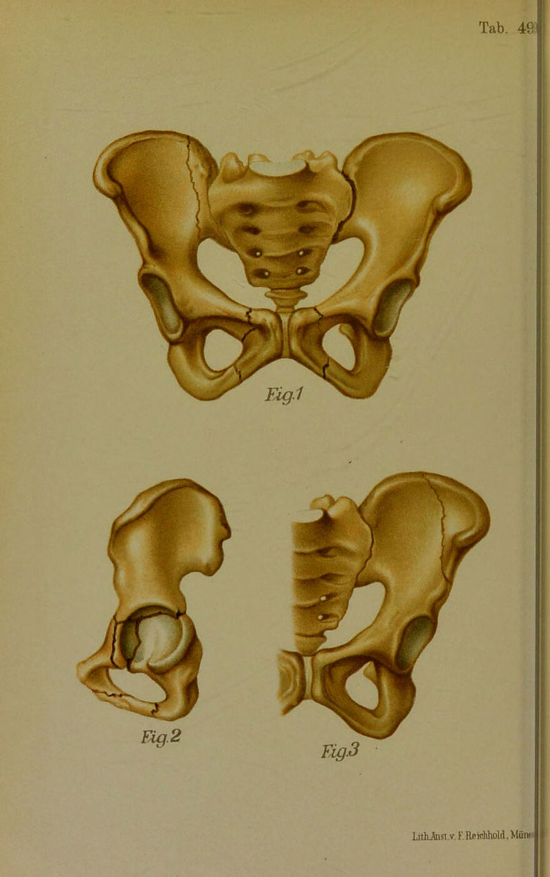 Eig2 LithJtasl.v KRficlihold. Miim m3 Tab. 491