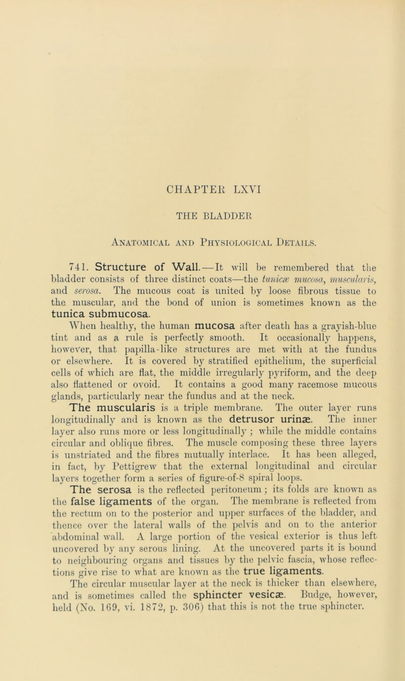 CHAPTER LXVI THE BLADDER Anatomical and Physiological Details. 741. Structure of Wall. — It will be remembered that the bladder consists of three distinct coats—the tunicas mucosa, muscularis, and serosa. The mucous coat is united by loose fibrous tissue to the muscular, and the bond of union is sometimes known as the tunica submucosa. When healthy, the human mucosa after death has a grayish-blue tint and as a rule is perfectly smooth. It occasionally happens, however, that papilla-like structures are met with at the fundus or elsewhere. It is covered by stratified epithelium, the superficial cells of which are flat, the middle irregularly pyriform, and the deep also flattened or ovoid. It contains a good many racemose mucous glands, particularly near the fundus and at the neck. The muscularis is a triple membrane. The outer layer runs longitudinally and is known as the detrusor urinae. The inner layer also runs more or less longitudinally ; while the middle contains circular and oblique fibres. The muscle composing these three layers is unstriated and the fibres mutually interlace. It has been alleged, in fact, by Pettigrew that the external longitudinal and circular layers together form a series of figure-of-8 spiral loops. The serosa is the reflected peritoneum ; its folds are known as the false ligaments of the organ. The membrane is reflected from the rectum on to the posterior and upper surfaces of the bladder, and thence over the lateral walls of the pelvis and on to the anterior abdominal wall. A large portion of the vesical exterior is thus left uncovered by any serous lining. At the uncovered parts it is bound to neighbouring organs and tissues by the pelvic fascia, whose reflec- tions give rise to what are known as the true ligaments. The circular muscular layer at the neck is thicker than elsewhere, and is sometimes called the sphincter vesicas. Budge, however,