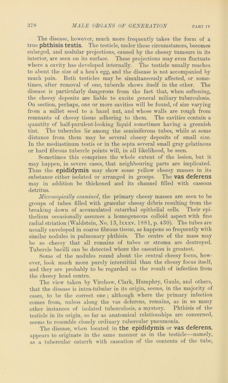 The disease, however, much more frequently takes the form of a true phthisis testis. The testicle, under these circumstances, becomes enlarged, and nodular projections, caused by the cheesy tumours in its interior, are seen on its surface. These projections may even fluctuate where a cavity has developed internally. The testicle usually reaches to about the size of a hen’s egg, and the disease is not accompanied by much pain. Both testicles may be simultaneously affected, or some- times, after removal of one, tubercle shows itself in the other. The disease is particularly dangerous from the fact that, when softening, the cheesy deposits are liable to excite general miliary tuberculosis. On section, perhaps, one or more cavities will be found, of size varying from a millet seed to a hazel nut, and whose walls are rough from remnants of cheesy tissue adhering to them. The cavities contain a quantity of half-purulent-looking liquid sometimes having a greenish tint. The tubercles lie among the seminiferous tubes, while at some distance from them may be several cheesy deposits of small size. In the mediastinum testis or in the septa several small gray gelatinous or hard fibrous tubercle points will, in all likelihood, be seen. Sometimes this comprises the whole extent of the lesion, but it may happen, in severe cases, that neighbouring parts are implicated. Thus the epididymis may show some yellow cheesy masses in its substance either isolated or arranged in groups. The vas deferens may in addition be thickened and its channel filled with caseous detritus. Microscopically examined, the primary cheesy masses are seen to be groups of tubes filled with granular cheesy debris resulting from the breaking down of accumulated catarrhal epithelial cells. Their epi- thelium occasionally assumes a homogeneous colloid aspect with fine radial striation (Waldstein, No. 13, lxxxv. 1881, p. 430). The tubes are usually enveloped in coarse fibrous tissue, as happens so frequently with similar nodules in pulmonary phthisis. The centre of the mass may be so cheesy that all remains of tubes or stroma are destroyed. Tubercle bacilli can be detected where the caseation is greatest. Some of the nodules round about the central cheesy focus, how- ever, look much more purely interstitial than the cheesy focus itself, and they are probably to be regarded as the result of infection from the cheesy head centre. The view taken by Virchow, Clark, Humphry, Gaule, and others, that the disease is intra-tubular in its origin, seems, in the majority of cases, to be the correct one; although where the primary infection comes from, unless along the vas deferens, remains, as in so many other instances of isolated tuberculosis, a mystery. Phthisis of the testicle in its origin, so far as anatomical relationships are concerned, seems to resemble closely ordinary tubercular pneumonia. The disease, when located in the epididymis or vas deferens, appears to originate in the same manner as in the testicle—namely, as a tubercular catarrh with caseation of the contents of the tube,