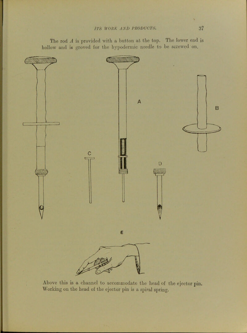 The rod A is provided with a button at the top. The lower end is hollow and is groved for the hypodermic needle to be screwed on. £ Above this is a channel to accommodate the head of the ejector pin. Working on the head of the ejector pin is a spiral spring.