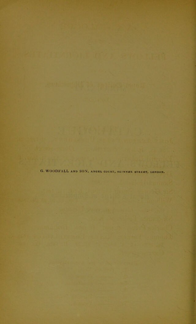 digitised image 2