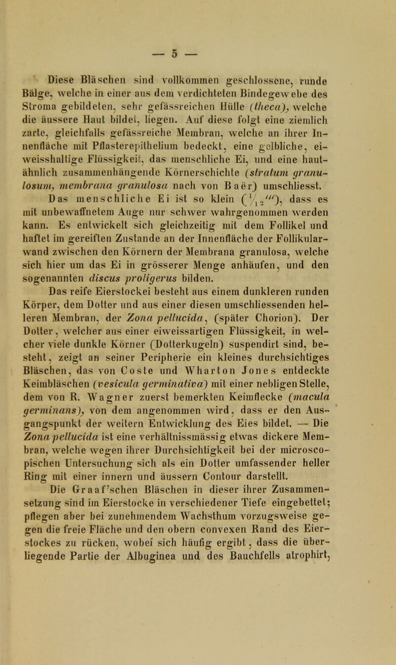 Diese Bläschen sind vollkommen geschlossene, runde Bälge, welche in einer aus dem verdichteten Bindegewebe des Stroma gebildeten, sehr gefässreichen Hülle welche die äussere Haut bildet, liegen. Auf diese folgt eine ziemlich zarte, gleichfalls gefässreiche Membran, welche an ihrer In- nenfläche mit Pflasterepithelium bedeckt, eine gelbliche, ei- weisshaltige Flüssigkeit, das menschliche Ei, und eine haut- ähnlich zusammenhängende Körnerschichte (stratum granu- losunif membrana granulosa nach von Baer) umschliesst. Das menschliche Ei ist so klein dass es mit unbewaffnetem Auge nur schwer wahrgenommen werden kann. Es entwickelt sich gleichzeitig mit dem Follikel und haftet im gereiften Zustande an der Innenfläche der Follikular- wand zwischen den Körnern der Membrana granulosa, welche sich hier um das Ei in grösserer Menge anhäufen, und den sogenannten cliscus proligerus bilden. Das reife Eierstockei besteht aus einem dunkleren runden Körper, dem Dotter und aus einer diesen umschliessenden hel- leren Membran, der Zona pellucida^ (^später Chorion). Der Dotter, welcher aus einer eiweissartigen Flüssigkeit, in wel- cher viele dunkle Körner (Dotterkugeln) suspendirt sind, be- steht, zeigt an seiner Peripherie ein kleines durchsichtiges Bläschen, das von Coste und Wharton Jones entdeckte Keimbläschen (vesicula germinativa) mit einer nebligen Stelle, dem von R. Wagner zuerst bemerkten Keimflecke (macula germinans)^ von dem angenommen wird, dass er den Aus- gangspunkt der weitern Entwicklung des Eies bildet. — Die Zona pellucida ist eine verhältnissmässig etwas dickere Mem- bran, welche wegen ihrer Durchsichtigkeit bei der microsco- pischen Untersuchung sich als ein Dotter umfassender heller Ring mit einer innern und äussern Contour darstellt. Die Graaf’schen Bläschen in dieser ihrer Zusammen- setzung sind im Eierstocke in verschiedener Tiefe eingebettet; pflegen aber bei zunehmendem Wachsthum vorzugsweise ge- gen die freie Fläche und den obern convexen Rand des Eier- stockes zu rücken, wobei sich häufig ergibt, dass die über- liegende Partie der Albuginea und des Bauchfells atrophirt, \