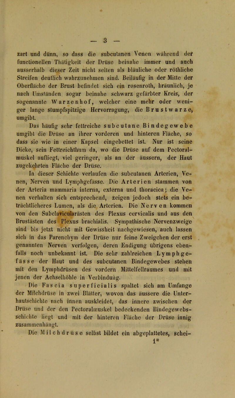 zart und dünn, so dass die subcutanen Venen während der functioneilen Tlüiligkeit der Drüse beinahe immer und auch ausserhalb dieser Zeit nicht selten als bläuliche oder röthliche Streifen deutlich wahrzunehmen sind. Beiläufig in der Mitte der Oberfläche der Brust befindet sich ein rosenrolh, bräunlich, je nach Umständen sogar beinahe schwarz gefärbter Kreis, der sogenannte Warzenhof, welcher eine mehr oder weni- ger lange stumpfspitzige Hervorragung, die Brustwarze, umgibt. Das häufig sehr fettreiche subcutane Bindegewebe umgibt die Drüse an ihrer vorderen und hinteren Fläche, so dass sie wie in einer Kapsel eingebettet ist. Nur ist seine Dicke, sein Fettreichthum da, wo die Drüse auf dein Pectoral- muskel aufliegt, viel geringer, als an der äussern, der Haut zugekehrten Fläche der Drüse. In dieser Schichte verlaufen die subcutanen Arterien, Ve- nen, Nerven und Lymphgefässe. Die Arterien stammen von der Arteria mammaria interna, externa und thoracica; die Ve- nen verhalten sich entsprechend, zeigen jedoch stets ein be- trächtlicheres Lumen, als die Arterien. Die Nerven kommen von den Subclavicularästen des Plexus cervicalis und aus den Brustästen des Plexus brachialis. Sympathische Nervenzweige sind bis jetzt nicht mit Gewissheit nachgewiesen, auch lassen sich in das Parenchym der Drüse nur feine Zweigehen der erst genannten Nerven verfolgen, deren Endigung übrigens eben- falls noch unbekannt ist. Die sehr zahlreichen Lymphge- fässe der Haut und des subcutanen Bindegewebes stehen mit den Lyrnphdrüsen des vordem Mittelfellraumes und mit jenen der Achselhöhle in Verbindung. Die Fascia superficialis spaltet sich am Umfange der Milchdrüse in zwei Blätter, wovon das äussere die Unter- hautschichle nach innen auskleidet, das innere zwischen der Drüse und der den Pectoralrnuskel bedeckenden Bindegewebs- schichte liegt und mit der hinteren Fläche der Drüse innig zusammenhängt. Die Milchdrüse selbst bildet ein abgeplattetes, schei- 1*