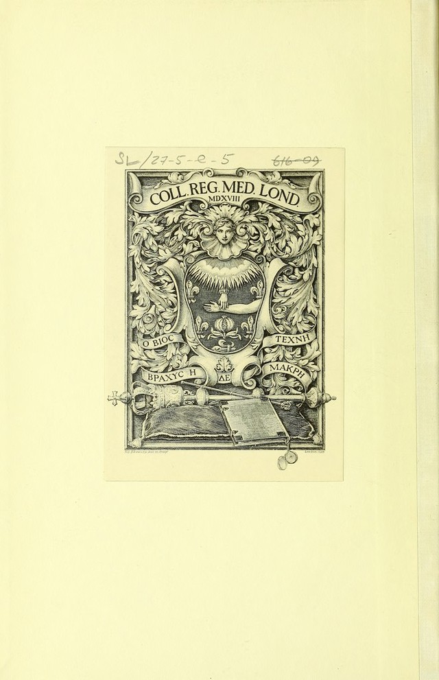 digitised image 2