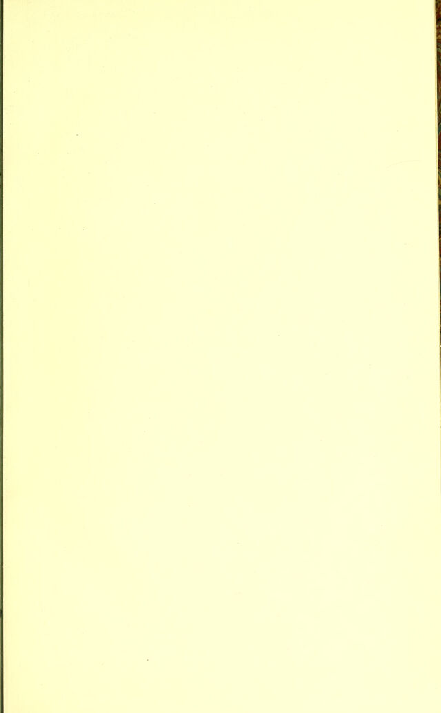 digitised image 3