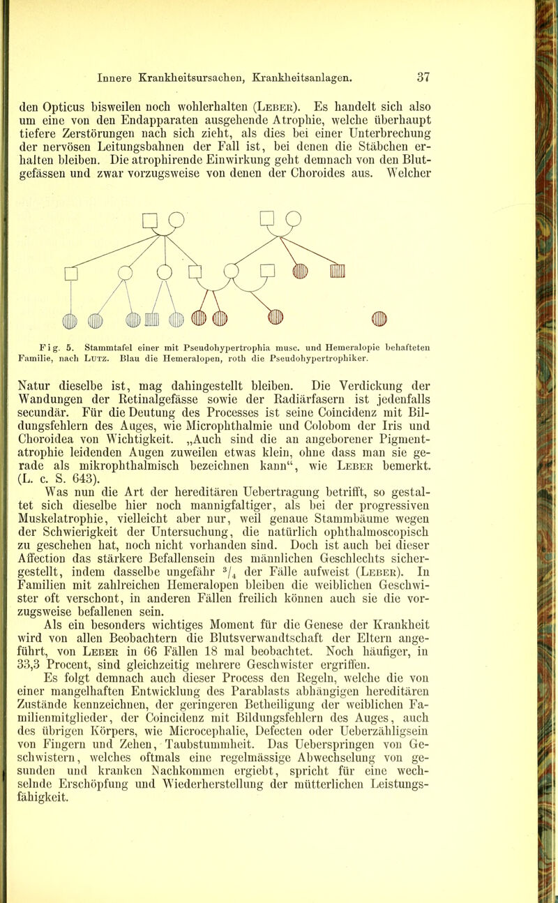 den Opticus bisweilen noch wohlerhalten (Leber). Es handelt sich also um eine von den Endapparaten ausgehende Atrophie, welche überhaupt tiefere Zerstörungen nach sich zieht, als dies bei einer Unterbrechung der nervösen Leitungsbahnen der Fall ist, bei denen die Stäbchen er- halten bleiben. Die atrophirende Einwirkung geht demnach von den Blut- gefässen und zwar vorzugsweise von denen der Choroides aus. Welcher Fig. 5. Stammtafel einer mit Pseudohypertrophia musc. und Hemeralopie behafteten Familie, nach Lutz. Blau die Hemeralopen, roth die Pseudohypertrophiker. Natur dieselbe ist, mag dahingestellt bleiben. Die Verdickung der Wandungen der Retinalgefässe sowie der Radiärfasern ist jedenfalls secundär. Für die Deutung des Processes ist seine Coincidenz mit Bil- dungsfehlern des Auges, wie Microphthalmie und Colobom der Iris und Choroidea von Wichtigkeit. „Auch sind die an angeborener Pigment- atrophie leidenden Augen zuweilen etwas klein, ohne dass man sie ge- rade als mikrophthalmisch bezeichnen kann“, wie Leber bemerkt. (L. c. S. 643). Was nun die Art der hereditären Uebertragung betrifft, so gestal- tet sich dieselbe hier noch mannigfaltiger, als bei der progressiven Muskelatrophie, vielleicht aber nur, weil genaue Stammbäume wegen der Schwierigkeit der Untersuchung, die natürlich ophthalmoscopisch zu geschehen hat, noch nicht vorhanden sind. Doch ist auch bei dieser Affection das stärkere Befallensein des männlichen Geschlechts sicher- gestellt, indem dasselbe ungefähr 3/4 der Fälle aufweist (Leber). In Familien mit zahlreichen Hemeralopen bleiben die weiblichen Geschwi- ster oft verschont, in anderen Fällen freilich können auch sie die vor- zugsweise befallenen sein. Als ein besonders wichtiges Moment für die Genese der Krankheit wird von allen Beobachtern die Blutsverwandtschaft der Eltern ange- führt, von Leber in 66 Fällen 18 mal beobachtet. Noch häufiger, in 33,3 Procent, sind gleichzeitig mehrere Geschwister ergriffen. Es folgt demnach auch dieser Process den Regeln, welche die von einer mangelhaften Entwicklung des Parablasts abhängigen hereditären Zustände kennzeichnen, der geringeren Betheiligung der weiblichen Fa- milienmitglieder, der Coincidenz mit Bildungsfehlern des Auges, auch des übrigen Körpers, wie Microcephalie, Defecten oder Ueberzähligsein von Fingern und Zehen, Taubstummheit. Das Ueberspringen von Ge- schwistern, welches oftmals eine regelmässige Abwechselung von ge- sunden und kranken Nachkommen ergiebt, spricht für eine wech- selnde Erschöpfung und Wiederherstellung der mütterlichen Leistungs- fähigkeit.