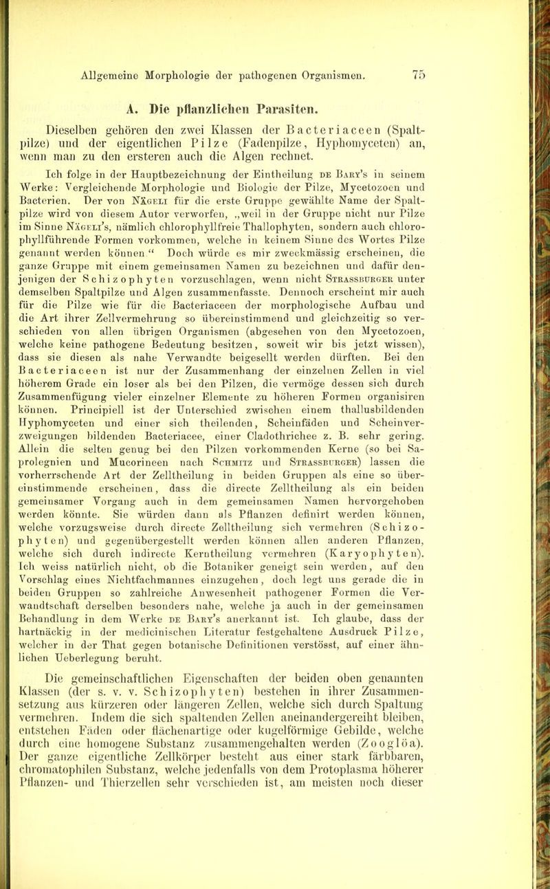 A. Die pflanzlichen Parasiten. Dieselben gehören den zwei Klassen der Bacteriaceen (Spalt- pilze) und der eigentlichen Pilze (Fadenpilze, Hyphomyceten) an, wenn man zu den ersteren auch die Algen rechnet. Ich folge in der Hauptbezeichnung der Eintheilung be Bary’s in seinem Werke : Vergleichende Morphologie und Biologie der Pilze, Mycetozoen und Bacterien. Der von NSgeli für die erste Gruppe gewählte Name der Spalt- pilze wird von diesem Autor verworfen, „weil in der Gruppe nicht nur Pilze im Sinne Nägeli’s, nämlich chlorophyllfreie Thallophyten, sondern auch chloro- phyllführende Formen Vorkommen, welche in keinem Sinne des Wortes Pilze genannt werden können.“ Doch würde es mir zweckmässig erscheinen, die ganze Gruppe mit einem gemeinsamen Namen zu bezeichnen und dafür den- jenigen der Schizophyten vorzuschlagen, wenn nicht Strassburger unter demselben Spaltpilze und Algen zusammenfasste. Dennoch erscheint mir auch für die Pilze wie für die Bacteriaceen der morphologische Aufbau und die Art ihrer Zellvermehrung so übereinstimmend und gleichzeitig so ver- schieden von allen übrigen Organismen (abgesehen von den Mycetozoen, welche keine pathogene Bedeutung besitzen, soweit wir bis jetzt wissen), dass sie diesen als nahe Verwandte beigesellt werden dürften. Bei den Bacteriaceen ist nur der Zusammenhang der einzelnen Zellen in viel höherem Grade ein loser als bei den Pilzen, die vermöge dessen sich durch Zusammenfügung vieler einzelner Elemente zu höheren Formen organisiren können. Principiell ist der Unterschied zwischen einem thallusbildenden Hyphomyceten und einer sich theilenden, Scheinfäden und Scheinver- zweigungen bildenden Bacteriacee, einer Cladothrichee z. B. sehr gering. Allein die selten genug bei den Pilzen vorkommenden Kerne (so bei Sa- prolegnien und Mucorineen nach Schmitz und Strassburger) lassen die vorherrschende Art der Zelltheilung in beiden Gruppen als eine so über- einstimmende erscheinen, dass die directe Zelltheilung als ein beiden gemeinsamer Vorgang auch in dem gemeinsamen Namen hervorgehoben werden könnte. Sie würden dann als Pflanzen defiuirt werden können, welche vorzugsweise durch directe Zelltheilung sich vermehren (Schizo- phyten) und gegenübergestellt werden können allen anderen Pflanzen, welche sich durch indirecte Kerntheilung vermehren (Karyophyten). Ich weiss natürlich nicht, ob die Botaniker geneigt sein werden, auf den Vorschlag eines Nichtfachmannes einzugehen, doch legt uns gerade die in beiden Gruppen so zahlreiche Anwesenheit pathogener Formen die Ver- wandtschaft derselben besonders nahe, welche ja auch in der gemeinsamen Behandlung in dem Werke be Bary’s anerkannt ist. Ich glaube, dass der hartnäckig in der medicinischen Literatur festgehaltene Ausdruck Pilze, welcher in der That gegen botanische Definitionen verstösst, auf einer ähn- lichen Ueberlegung beruht. Die gemeinschaftlichen Eigenschaften der beiden oben genannten Klassen (der s. v. v. Schizophyten) bestehen in ihrer Zusammen- setzung aus kürzeren oder längeren Zellen, welche sich durch Spaltung vermehren. Indem die sich spaltenden Zellen aneinandergereiht bleiben, entstehen Fäden oder flächenartige oder kugelförmige Gebilde, welche durch eine homogene Substanz zusammengehalten werden (Zooglöa). Der ganze eigentliche Zellkörper besteht aus einer stark färbbaren, chromatophilen Substanz, welche jedenfalls von dem Protoplasma höherer Pflanzen- und Thierzellen sehr verschieden ist, am meisten noch dieser