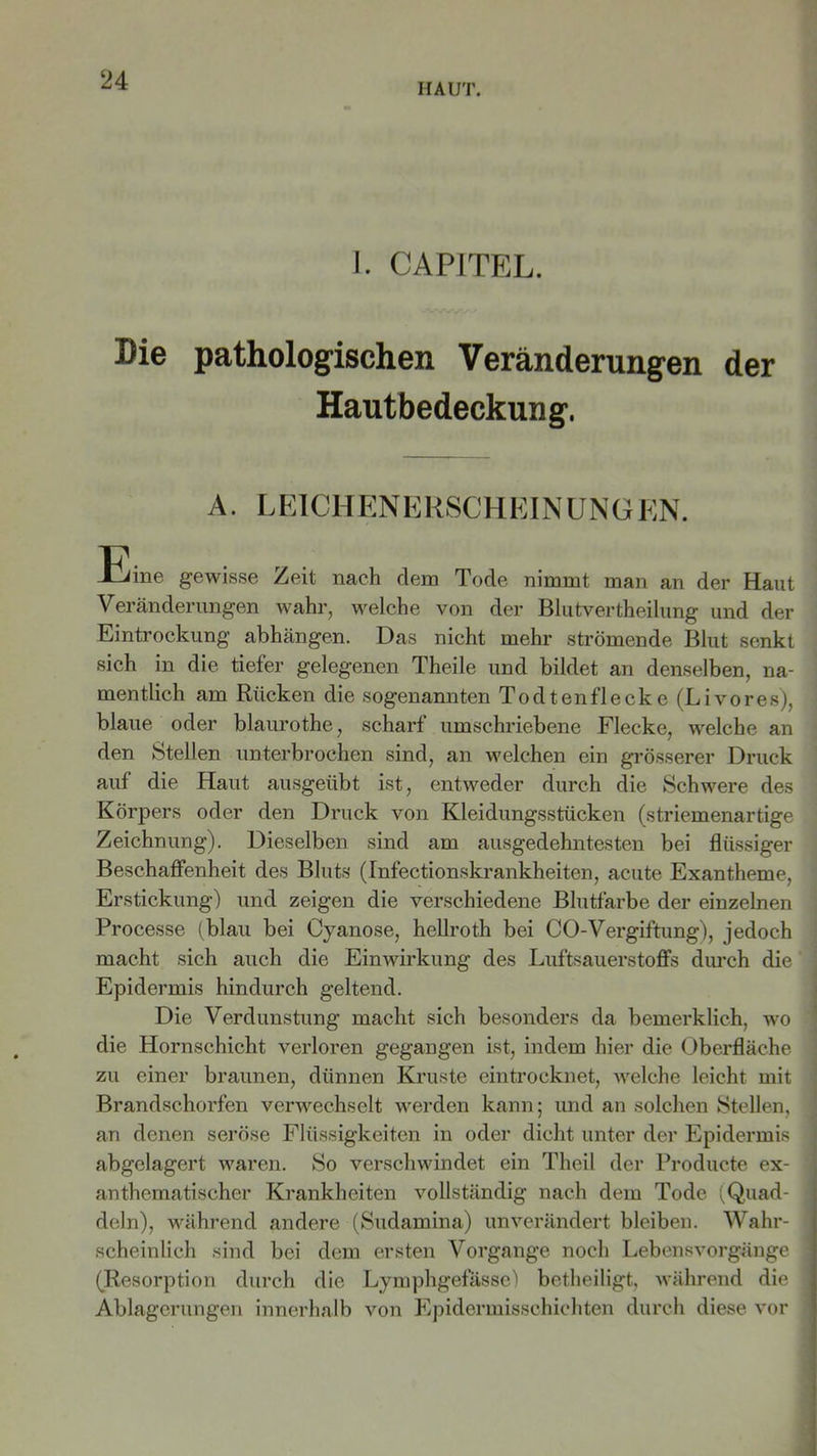 HAUT. I. CAPITEL. Die pathologischen Veränderungen der Hautbedeckung. A. LEICHENERSCHEINUNGEN. iEine gewisse Zeit nach dem Tode nimmt man an der Haut Veränderungen wahr, welche von der Blutvertheilung und der Eintrockung abhängen. Das nicht mehr strömende Blut senkt sich in die tiefer gelegenen Theile und bildet an denselben, na- mentlich am Rücken die sogenannten Todtenflecke (Livores), blaue oder blaurothe, scharf umschriebene Flecke, welche an den Stellen unterbrochen sind, an welchen ein grösserer Druck auf die Haut ausgeübt ist, entweder durch die Schwere des Körpers oder den Druck von Kleidungsstücken (striemenartige Zeichnung). Dieselben sind am ausgedehntesten bei flüssiger Beschaffenheit des Bluts (Infectionskrankheiten, acute Exantheme, Erstickung) und zeigen die verschiedene Blutfarbe der einzelnen Processe (blau bei Cyanose, hellroth bei CO-Vergiftung), jedoch macht sich auch die Einwirkung des Luftsauerstoffs durch die Epidermis hindurch geltend. Die Verdunstung macht sich besonders da bemerklich, wo die Hornschicht verloren gegangen ist, indem hier die Oberfläche zu einer braunen, dünnen Kruste eintrocknet, welche leicht mit Brandschorfen verwechselt werden kann; und an solchen Stellen, an denen seröse Flüssigkeiten in oder dicht unter der Epidermis abgelagert waren. So verschwindet ein Theil der Producte ex- anthematischer Krankheiten vollständig nach dem Tode (Quad- deln), während andere (Sudamina) unverändert bleiben. Wahr- scheinlich sind bei dem ersten Vorgänge noch Lebensvorgänge (Resorption durch die Lymphgefässe) betheiligt, während die Ablagerungen innerhalb von Epidermisschiehten durch diese vor