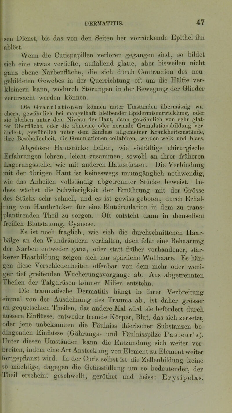1 sen Dienst, bis das von den Seiten her vorrückende Epithel ihn I ablöst. Wenn die Cutispapillen verloren gegangen sind, so bildet I sich eine etwas vertiefte, auffallend glatte, aber bisweilen nicht i ganz ebene Narbenfläche, die sich durch Contraction des neu- : gebildeten Gewebes in der Querrichtung oft um die Hälfte ver- kleinern kann, wodurch Störungen in der Bewegung der Glieder p verursacht werden können. Die Granulationen können unter Umständen übermässig wu- j ehern, gewöhnlich bei mangelhaft bleibender Epidermisentwicklung, oder ! sie bleiben unter dem Niveau der Haut, dann gewöhnlich von sehr glat- ! ter Oberfläche, oder die abnorme oder normale Granulationsbildung ver- i ändert, gewöhnlich unter dem Einfluss allgemeiner Krankheitszustände, ihre Beschaffenheit, die Granulationen collabiren, werden welk und blass. Abgelöste Hautstücke heilen, wie vielfältige chirurgische Erfahrungen lehren, leicht zusammen, sowohl an ihrer früheren Lagerungsstelle, wie mit anderen Hautstücken. Die Verbindung mit der übrigen Haut ist keineswegs unumgänglich notliwendig, ; wie das Anheilen vollständig abgetrennter Stücke beweist. In- dess wächst die Schwierigkeit der Ernährung mit der Grösse des Stücks sein’ schnell, und es ist gewiss geboten, durch Erhal- j tung von Hautbrücken für eine Blutcirculation in dem zu trans- plantirenden Theil zu sorgen. Oft entsteht dann in demselben i freilich Blutstauung, Cyanose. Es ist noch fraglich, wie sich die durchschnittenen Haar- bälge an den Wundrändern verhalten, doch fehlt eine Behaarung der Narben entweder ganz, oder statt früher vorhandener, stär- ■ kerer Haarbildung zeigen sich nur spärliche Wollhaare. Es hän- gen diese Verschiedenheiten offenbar von dem mehr oder weni- ger tief greifenden Wucherungsvorgange ab. Aus abgetrennten Th eilen der Talgdrüsen können Milien entstehn. Die traumatische Dermatitis hängt in ihrer Verbreitung (einmal von der Ausdehnung des Trauma ab, ist daher grösser ; an gequetschten Theilen, das andere Mal wird sie befördert durch : äussere Einflüsse, entweder fremde Körper, Blut, das sich zersetzt, oder jene unbekannten die Fäulniss thierischer Substanzen be- dingenden Einflüsse (Gährungs- und Fäulnisspilze Pasteur’s). Unter diesen Umständen kann die Entzündung sich weiter ver- breiten, indem eine Art Ansteckung von Element zu Element weiter ' fortgepflanzt wird. In der Cutis selbst ist die Zellenbildung keine so mächtige, dagegen die Gefässfüllung um so bedeutender, der Theil erscheint geschwellt, geröthet und heiss: Erysipelas.