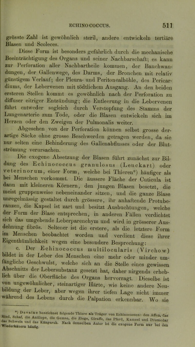 grösste Zahl ist gewöhnlich steril, andere entwickeln tertiäre Blasen und Scoleces. Diese Form ist besonders gefährlich durch die mechanische Beeinträchtigung des Organs und seiner Nachbarschaft; es kann zur Perforation aller Nachbartheile kommen, der Bauchwan- dungen, der Gallenwege, des Darms, der Bronchen mit relativ günstigem Verlauf; der Pleura- und Peritonealhöhle, des Pericar- diurns, der Lebervenen mit tödtlichem Ausgang. An den beiden ersteren Stellen kommt es gewöhnlich nach der Perforation zu diffuser eitriger Entzündung; die Entleerung in die Lebervenen führt entweder sogleich durch Verstopfung des Stamms der Lungenarterie zum Tode, oder die Blasen entwickeln sich im Herzen oder den Zweigen der Pulmonalis weiter. Abgesehen von der Perforation können selbst grosse der- artige Säcke ohne grosse Beschwerden getragen werden, da sie nur selten eine Behinderung des Gallenabflusses oder der Blut- strömung verursachen. Die exogene Absetzung der Blasen führt zunächst zur Bil- dung des Echinococcus granulosus (Leuckart) oder veterinorum, einer Form, welche bei Thieren*) häufiger als bei Menschen vorkommt. Die äussere Fläche der Cuticula ist dann mit kleineren Körnern, den jungen Blasen besetzt, die meist gruppenweise nebeneinander sitzen, und die ganze Blase unregelmässig gestaltet durch grössere, ihr anhaftende Protube- ranzen, die Kapsel ist zart und besitzt Ausbuchtungen, welche der Form der Blase entsprechen, in anderen Fällen verdichtet sich das umgebende Leberparenchym und wird in grösserer Aus- dehnung fl bi ös. Seltener ist die erstere, als die letztere Form im Menschen beobachtet worden und verdient diese ihrer Eigenthümlichkeit wegen eine besondere Besprechung: c. Der Echinococcus multilocularis (Virchow) bildet in der Leber des Menschen eine mehr oder minder um- fängliche Geschwulst, welche sich an die Stelle eines gewissen Abschnitts der Lebersubstanz gesetzt hat, daher nirgends erheb- lich über die Oberfläche des Organs hervorragt. Dieselbe ist von ungewöhnlicher, steinartiger Härte, wie keine andere Neu- bildung der Leber, aber wegen ihrer tiefen Lage nicht immer während des Lebens durch die Palpation erkennbar. Wo sie Kind SnL?a.VaiiDe,II)eZeiChnet f0,gendC Thi0re al8 Träger von Echinocoocen: den Affen, das das Schwein T vcT ^ ®e™°' die Zie*°> Giraffö< llas P^rd, “arneel und Dromedar CeXrn Mut d<3m8elben AUt°r “ eXOeeUe