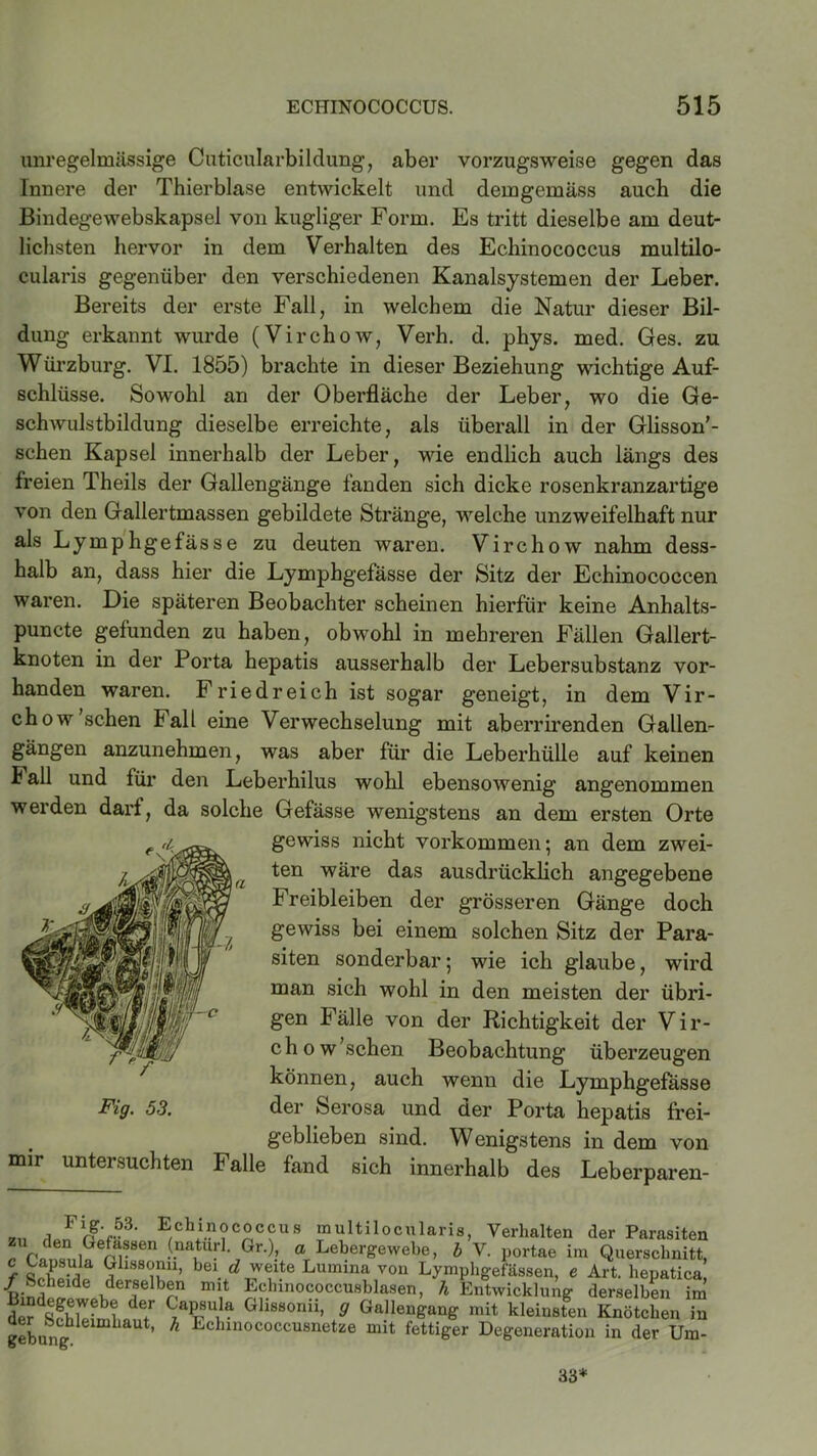 I*-*»« unregelmässige Cuticularbildung, aber vorzugsweise gegen das Innere der Thierblase entwickelt und demgemäss auch die Bindegewebskapsel von kugliger Form. Es tritt dieselbe am deut- lichsten hervor in dem Verhalten des Echinococcus multilo- cularis gegenüber den verschiedenen Kanalsystemen der Leber. Bereits der erste Fall, in welchem die Natur dieser Bil- dung erkannt wurde (Virchow, Verh. d. phys. med. Ges. zu Würzburg. VI. 1855) brachte in dieser Beziehung wichtige Auf- schlüsse. Sowohl an der Oberfläche der Leber, wo die Ge- schwulstbildung dieselbe erreichte, als überall in der Glisson’- schen Kapsel innerhalb der Leber, wie endlich auch längs des freien Theils der Gallengänge fanden sich dicke rosenkranzartige von den Gallertmassen gebildete Stränge, welche unzweifelhaft nur als Lymphgefässe zu deuten waren. Virchow nahm dess- halb an, dass hier die Lymphgefässe der Sitz der Echinococcen waren. Die späteren Beobachter scheinen hierfür keine Anhalts- puncte gefunden zu haben, obwohl in mehreren Fällen Gallert- knoten in der Porta hepatis ausserhalb der Lebersubstanz vor- handen waren. Friedreich ist sogar geneigt, in dem Vir- chow sehen Fall eine Verwechselung mit aberrirenden Gallen- gängen anzunehmen, was aber für die Leberhülle auf keinen Fall und für den Leberhilus wohl ebensowenig angenommen werden darf, da solche Gefässe wenigstens an dem ersten Orte gewiss nicht Vorkommen; an dem zwei- ten wäre das ausdrücklich angegebene Freibleiben der grösseren Gänge doch gewiss bei einem solchen Sitz der Para- siten sonderbar; wie ich glaube, wird man sich wohl in den meisten der übri- gen Fälle von der Richtigkeit der Vir- chow’schen Beobachtung überzeugen können, auch wenn die Lymphgefässe der Serosa und der Porta hepatis frei- geblieben sind. Wenigstens in dem von mir untersuchten Falle fand sich innerhalb des Leberparen- Fig. 53. E,Ch^?C2C?US multllocularis, Verhalten der Parasiten zu den Gefassen (naturl. Gr.), a Lebergewebe, b V. portae im Querschnitt, Capsula Wissonu, bei d weite Lumina von Lymphgefässen, e Art. hepatica. Scheide derselben mit Echinococcusblasen, h Entwicklung derselben im T ta|T,la ÖliS8°nii’ 9 GM™<S™e mit kleinsten Knötchen in gebungh h t’ h Echinococcusnetze mit fettiger Degeneration in der Um- 33*