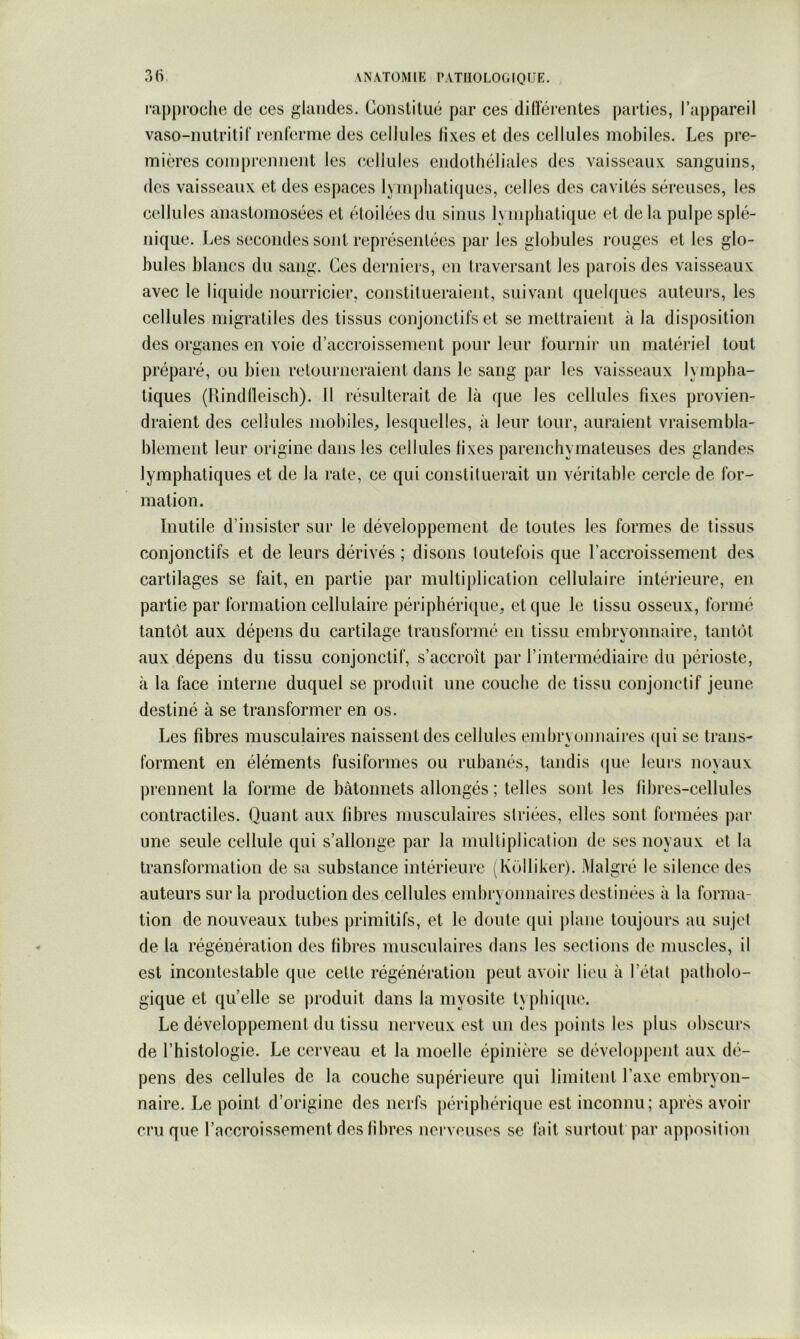 A i\ATOMIE [»ATIIOI.OG [QUE. r)(v rapproche de ces glandes. Constitué par ces dilïérentes parties, l’appareil vaso-nutritif renferme des cellules fixes et des cellules mobiles. Les pre- mières comprennent les (îellules endothéliales des vaisseaux sanguins, des vaisseaux et des espaces lymphati(|ues, celles des cavités séreuses, les cellules anastomosées et étoilées du sinus lymphatique et de la pulpe splé- nique. Les secondes sont représentées par les globules rouges et les glo- bules blancs du sang. Ces derniers, en traversant les parois des vaisseaux avec le liquide nourricier, constitueraient, suivant (jiielques auteurs, les cellules migratiles des tissus conjonctifs et se mettraient à la disposition des organes en voie d’accroissement pour leur fournir un matériel tout préparé, ou bien retourneraient dans le sang par les vaisseaux lympha- tiques (Rindlleiscb). Il résulterait de là rjue les cellules fixes provien- draient des cellules mobiles, lesquelles, à leur tour, auraient vraisembla- blement leur origine dans les cellules fixes parencbymaleuses des glandes lymphatiques et de la rate, ce qui constituerait un véritable cercle de for- mation. Inutile d’insister sur le développement de toutes les formes de tissus conjonctifs et de leurs dérivés ; disons loutefois que l’accroissement des cartilages se fait, en partie par multiplication cellulaire intérieure, en partie par formation cellulaire périphérique, et que le tissu osseux, formé tantôt aux dépens du cartilage transformé en tissu embryonnaire, tant()t aux dépens du tissu conjonctif, s’accroît par l’intermédiaire du périoste, à la face interne duquel se produit une couche de tissu conjonctif jeune destiné à se transformer en os. Les fibres musculaires naissent des cellules embryonnaires (|ui se trans- forment en éléments fusiformes ou rubanés, tandis (jue leurs noyaux j)rennent la forme de bâtonnets allongés ; telles sont les fibres-cellules contractiles. Quant aux fibres musculaires striées, elles sont formées par une seule cellule qui s’allonge par la multiplication de ses noyaux et la transformation de sa substance intérieure (Kolliker). Malgré le silence des auteurs sur la production des cellules embryonnaires destinées à la forma- tion de nouveaux tubes primitifs, et le doute qui plane toujours au sujet de la régénération des fibres musculaires dans les sections de muscles, il est incontestable que cette régénération peut avoir lieu à l’état patholo- gique et quelle se produit dans la myosite typhi([ue. Le développement du tissu nerveux est un des points les plus obscurs de l’histologie. Le cerveau et la moelle épinière se développent aux dé- pens des cellules de la couche supérieure qui limitent l’axe embryon- naire. Le point d’origine des nerfs périphérique est inconnu; après avoir cru que l’accroissement des fibres nerveuses se fait surtout par apposition