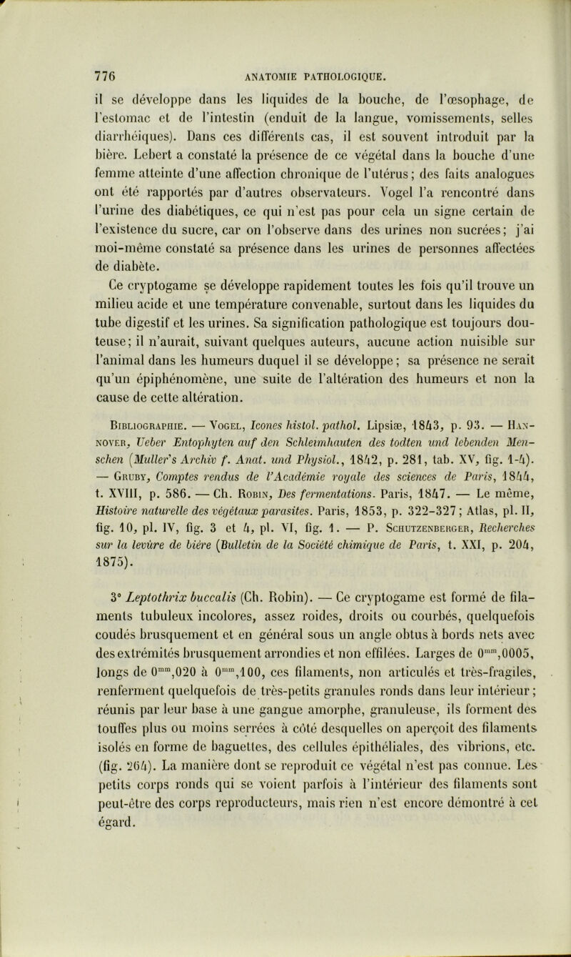 il se développe dans les liquides de la bouche, de l’œsophage, de l’estomac et de l’intestin (enduit de la langue, vomissements, selles diarrhéiques). Dans ces dilïérents cas, il est souvent introduit par la bière. Lehert a constaté la présence de ce végétal dans la bouche d’une femme atteinte d’une affection chronique de l’utérus; des faits analogues ont été rapportés par d’autres observateurs. Vogel l’a rencontré dans l’urine des diabétiques, ce qui n’est pas pour cela un signe certain de l’existence du sucre, car on l’observe dans des urines non sucrées; j’ai moi-même constaté sa présence dans les urines de personnes affectées de diabète. Ce cryptogame se développe rapidement toutes les fois qu’il trouve un milieu acide et une température convenable, surtout dans les liquides du tube digestif et les urines. Sa signification pathologique est toujours dou- teuse; il n’aurait, suivant quelques auteurs, aucune action nuisible sur l’animal dans les humeurs duquel il se développe ; sa présence ne serait qu’un épiphénomène, une suite de l’altération des humeurs et non la cause de cette altération. Bibliographie. —Vogel, Icônes hislol. pathol. Lipsiæ, 1863, p. 93. — Han- NOYER, TJeber Entophyten auf den Schleimhaiiten des todten und lebenden Men- schen [Mullers Archiv f. Anat. und Physiol.^ 1862, p. 281, tab. XV, fig. 1-6). — Grüby, Comptes rendus de VAcadémie royale des sciences de Paris, 1866, t. XVIII, p. 586. — Ch. Robin, Des fermentations. Paris, 1867. — Le même, Histoire naturelle des végétaux 'parasites. Paris, 1853, p. 322-327 ; Atlas, pl. II, fig. 10, pl. IV, fig. 3 et 6, pl. VI, fig. 1. — P. Sciiutzenberger, Recherches sur la levure de bière [Bulletin de la Société chimique de Paris, t. XXI, p. 206, 1875). 3® Leptothrix buccalis (Ch. Robin). — Ce cryptogame est formé de fila- ments tubuleux incolores, assez roides, droits ou courbés, quelquefois coudés brusquement et en général sous un angle obtus à bords nets avec des extrémités brusquement arrondies et non effilées. Larges de 0‘',0005, longs de 0’'”,020 à 0”,100, ces filaments, non articulés et très-fragiles, renferment quelquefois de très-petits granules ronds dans leur intérieur ; réunis par leur base à une gangue amorphe, granuleuse, ils forment des touffes plus ou moins serrées à côté desquelles on aperçoit des filaments isolés en forme de baguettes, des cellules épithéliales, des vibrions, etc. (fig. 266). La manière dont se rejiroduit ce végétal n’est pas connue. Les petits corps ronds qui se voient parfois à l’intérieur des filaments sont peut-être des corps reproducteurs, mais rien n’est encore démontré à cet égard.