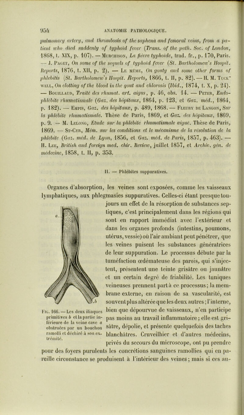 pulmonarij arkru, and thrombosis of tlœ suphena and fémoral ceins, from a pa- tienl icho died suddenly of Ujphoul fecer (Trans. of the patk. Soc. of London, 1808, t. XIX, p. 107). —Murciiison, La fièvre Ujphoïde, trad. fr., p. 170, Paris. — J. I’aget, On some of the sequels of typhoïd fcver (St. Bartholomeio's Hospit. Reports, 1870, t. XII, p. 2). — Le même. On youty and some other forrns of pfilebitis [St. Bartholomeios Hospit. Reports, 1800, t. II, p. 82). — II. M. ïucir WELL, On clotting of the blood in the goût and chlorosis {Ibid., 1874-, t. X, p. 24). — Bouillaud, Traité des rhiimat. art. aigus, p. 40, obs. 14. — Peter, Endo- phlébite rhumatismale {Gaz. des hôpitaux, 1804, p. 123, et Gaz. méd., 1804, p. 182). — Empis, Gaz. des hôpitaux, p. 489, 1808.— Fleuhy de Langon, Sur la phlébite rhumatismale. Thèse de Paris, 1809, et Gaz. des hôpitaux, 1809, p. 9. — M. Lelong, Étude sur la phlébite rhumatismale aiguë. Thèse de Paris, 1809. — St-Cyr, Mém. sur les conditions et le mécanisme de la résolution de la phlébite {Gaz. méd. de Lyon, 1850, et Gaz. méd. de Paris, 1857, p. 403). — H. Lee, British and foreign med. chir. Revieio, juillet 1857, et Archiv. gén. de médecine, 1858, t. II, p. 353. II. — Phlébites suppuratives. Organes d’absorption, les veines sont exposées, comme les vaisseaux lymphatiques, aux phlegmasies suppuratives. Celles-ci étant presque tou- jours un effet de la résorption de substances sep- tiques, c’est principalement dans les régions qui sont en rapport immédiat avec l’extérieur et dans les organes profonds (intestins, poumons, utérus, vessie) où l’air ambiant peut pénétrer, que les veines puisent les substances génératrices de leur suppuration. Le processus débute par la tuméfaction œdémateuse des parois, qui s’injec- tent, présentent une teinte grisâtre ou jaunâtre et un certain degré de friabilité. Les tuniques veineuses prennent parta ce processus; la mem- brane externe, en raison de sa vascularité, est souvent plus altérée que les deux autres ; l’interne, Fig. 166. —Les deux iliaques 9^1^ dépourvue de vaisseaux, n’en partici})e primitives b cLlapartie in- p^s moins au travail inflammatoire; elle est gri- férieure de la veine cave (i , i- i- » ^ • i « i obstruées par un bouchon satre, dépolie, et piéscnlc quelquelois des taches ramolli et déchiré à son ex- blanchâtres. Gruveilhier et d’autres médecins, trémité. . privés du secours du microscope, ont pu prendre pour des foyers purulents les concrétions sanguines ramollies qui en pa- reille circonstance se produisent à l’intérieur des veines ; mais si ces au-