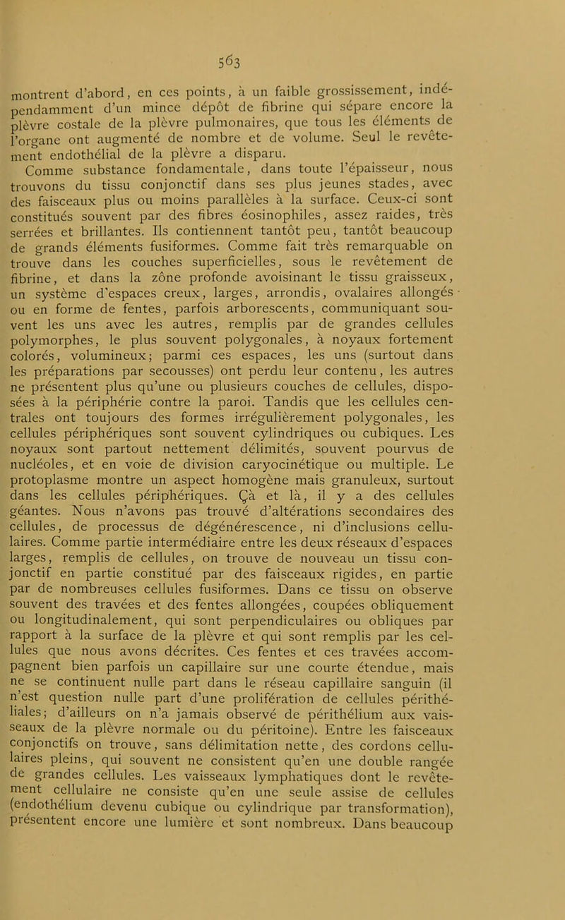 montrent d’abord, en ces points, à un faible grossissement, indé- pendamment d’un mince dépôt de fibrine qui sépare encore la plèvre costale de la plèvre pulmonaires, que tous les éléments^ de l’organe ont augmenté de nombre et de volume. Seul le revête- ment endothélial de la plèvre a disparu. Comme substance fondamentale, dans toute l’épaisseur, nous trouvons du tissu conjonctif dans ses plus jeunes stades, avec des faisceaux plus ou moins parallèles à la surface. Ceux-ci sont constitués souvent par des fibres éosinophiles, assez raides, très serrées et brillantes. Ils contiennent tantôt peu, tantôt beaucoup de grands éléments fusiformes. Comme fait très remarquable on trouve dans les couches superficielles, sous le revêtement de fibrine, et dans la zone profonde avoisinant le tissu graisseux, un système d'espaces creux, larges, arrondis, ovalaires allongés ou en forme de fentes, parfois arborescents, communiquant sou- vent les uns avec les autres, remplis par de grandes cellules polymorphes, le plus souvent polygonales, à noyaux fortement colorés, volumineux; parmi ces espaces, les uns (surtout dans les préparations par secousses) ont perdu leur contenu, les autres ne présentent plus qu’une ou plusieurs couches de cellules, dispo- sées à la périphérie contre la paroi. Tandis que les cellules cen- trales ont toujours des formes irrégulièrement polygonales, les cellules périphériques sont souvent cylindriques ou cubiques. Les noyaux sont partout nettement délimités, souvent pourvus de nucléoles, et en voie de division caryocinétique ou multiple. Le protoplasme montre un aspect homogène mais granuleux, surtout dans les cellules périphériques. Çà et là, il y a des cellules géantes. Nous n’avons pas trouvé d’altérations secondaires des cellules, de processus de dégénérescence, ni d’inclusions cellu- laires. Comme partie intermédiaire entre les deux réseaux d’espaces larges, remplis de cellules, on trouve de nouveau un tissu con- jonctif en partie constitué par des faisceaux rigides, en partie par de nombreuses cellules fusiformes. Dans ce tissu on observe souvent des travées et des fentes allongées, coupées obliquement ou longitudinalement, qui sont perpendiculaires ou obliques par rapport à la surface de la plèvre et qui sont remplis par les cel- lules que nous avons décrites. Ces fentes et ces travées accom- pagnent bien parfois un capillaire sur une courte étendue, mais ne se continuent nulle part dans le réseau capillaire sanguin (il n’est question nulle part d’une prolifération de cellules périthé- liales; d’ailleurs on n’a jamais observé de périthélium aux vais- seaux de la plèvre normale ou du péritoine). Entre les faisceaux conjonctifs on trouve, sans délimitation nette, des cordons cellu- laires pleins, qui souvent ne consistent qu’en une double rangée de grandes cellules. Les vaisseaux lymphatiques dont le revête- ment cellulaire ne consiste qu’en une seule assise de cellules (endothélium devenu cubique ou cylindrique par transformation), présentent encore une lumière et sont nombreux. Dans beaucoup