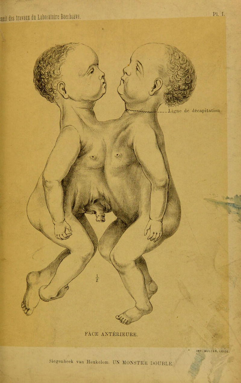 ■■J’ ' IMP. MULCER, LEIOE. Sie^finbeek van Heukolom. IJN MONSTRE DOUBLE.