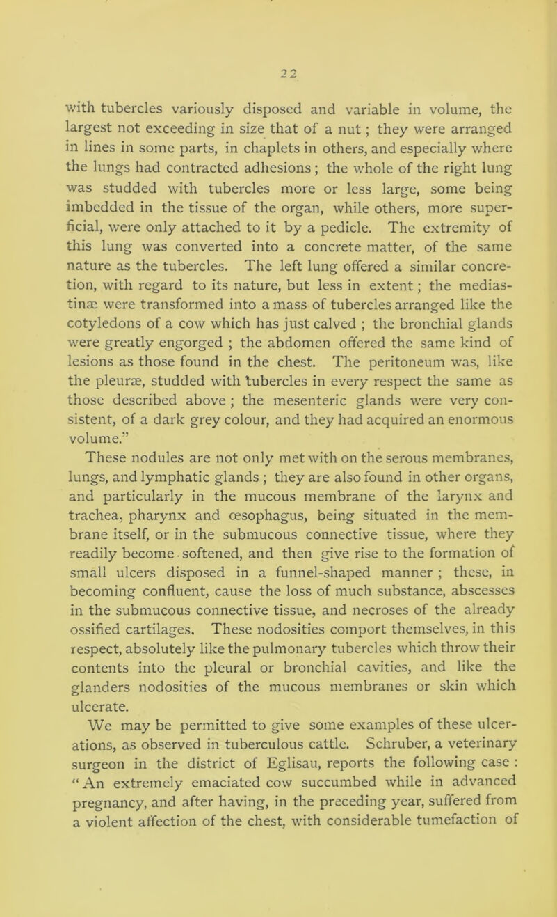 with tubercles variously disposed and variable in volume, the largest not exceeding in size that of a nut; they were arranged in lines in some parts, in chaplets in others, and especially where the lungs had contracted adhesions ; the whole of the right lung was studded with tubercles more or less large, some being imbedded in the tissue of the organ, while others, more super- ficial, were only attached to it by a pedicle. The extremity of this lung was converted into a concrete matter, of the same nature as the tubercles. The left lung offered a similar concre- tion, with regard to its nature, but less in extent; the medias- tinae were transformed into a mass of tubercles arranged like the cotyledons of a cow which has just calved ; the bronchial glands were greatly engorged ; the abdomen offered the same kind of lesions as those found in the chest. The peritoneum was, like the pleurae, studded with tubercles in every respect the same as those described above ; the mesenteric glands were very con- sistent, of a dark grey colour, and they had acquired an enormous volume.” These nodules are not only met with on the serous membranes, lungs, and lymphatic glands ; they are also found in other organs, and particularly in the mucous membrane of the larynx and trachea, pharynx and oesophagus, being situated in the mem- brane itself, or in the submucous connective tissue, where they readily become softened, and then give rise to the formation of small ulcers disposed in a funnel-shaped manner ; these, in becoming confluent, cause the loss of much substance, abscesses in the submucous connective tissue, and necroses of the already ossified cartilages. These nodosities comport themselves, in this respect, absolutely like the pulmonary tubercles which throw their contents into the pleural or bronchial cavities, and like the glanders nodosities of the mucous membranes or skin which ulcerate. We may be permitted to give some examples of these ulcer- ations, as observed in tuberculous cattle. Schruber, a veterinary surgeon in the district of Eglisau, reports the following case : “ An extremely emaciated cow succumbed while in advanced pregnancy, and after having, in the preceding year, suffered from a violent affection of the chest, with considerable tumefaction of