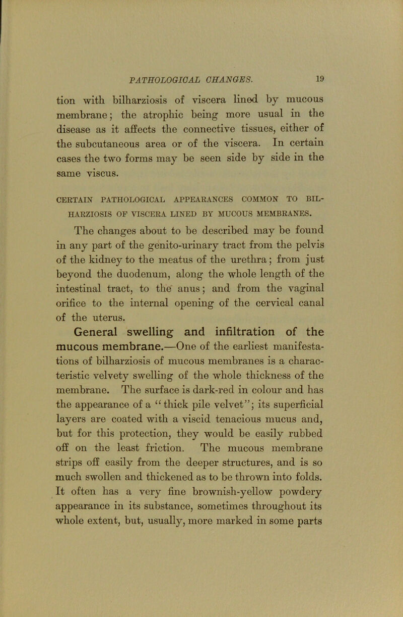 tion with bilharziosis of viscera lined by mucous membrane; the atrophic being more usual in the disease as it affects the connective tissues, either of the subcutaneous area or of the viscera. In certain cases the two forms may be seen side by side in the same viscus. CERTAIN PATHOLOGICAL APPEARANCES COMMON TO BIL- HARZIOSIS OF VISCERA LINED BY MUCOUS MEMBRANES. The changes about to be described may be found in any part of the genito-urinary tract from the pelvis of the kidney to the meatus of the urethra; from just beyond the duodenum, along the whole length of the intestinal tract, to the' anus; and from the vaginal orifice to the internal opening of the cervical canal of the uterus. General swelling and infiltration of the mucous membrane.—One of the earliest manifesta- tions of bilharziosis of mucous membranes is a charac- teristic velvety swelling of the whole thickness of the membrane. The surface is dark-red in colour and has the appearance of a “ thick jiile velvet”; its superficial layers are coated with a viscid tenacious mucus and, but for this protection, they would be easily rubbed off on the least friction. The mucous membrane strips off easily from the deeper structures, and is so much swollen and thickened as to be thrown into folds. It often has a very fine brownish-yellow powdery appearance in its substance, sometimes throughout its whole extent, but, usually, more marked in some parts
