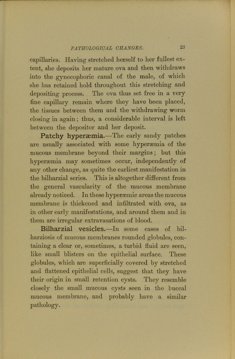 capillaries. Having stretched herself to her fullest ex- tent, she deposits her mature ova and then withdraws into the gynecophoric canal of the male, of which she has retained hold throughout this stretching and depositing jDrocess. The ova thus set free in a very fine capillary remain where they have been placed, the tissues between them and the withdrawing worm closing in again; thus, a considerable interval is left between the depositor and her deposit. Patchy hyperaemia.—The early sandy patches are usually associated with some hyperaemia of the mucous membrane beyond their margins; but this hyperaemia may sometimes occur, independently of any other change, as quite the earliest manifestation in the bilharzial series. This is altogether different from the general vascularity of the mucous membrane already noticed. In these hyperaemic areas the mucous membrane is thickened and infiltrated with ova, as in other early manifestations, and around them and in them are irregular extravasations of blood. Bilharzial vesicles.—In some cases of bil- harziosis of mucous membranes rounded globules, con- taining a clear or, sometimes, a turbid fluid are seen, like small blisters on the epithelial surface. These globules, which are superficially covered by stretched and flattened epithelial cells, suggest that they have their origin in small retention cysts. They resemble closely the small mucous cysts seen in the buccal mucous membrane, and probably have a similar pathology.