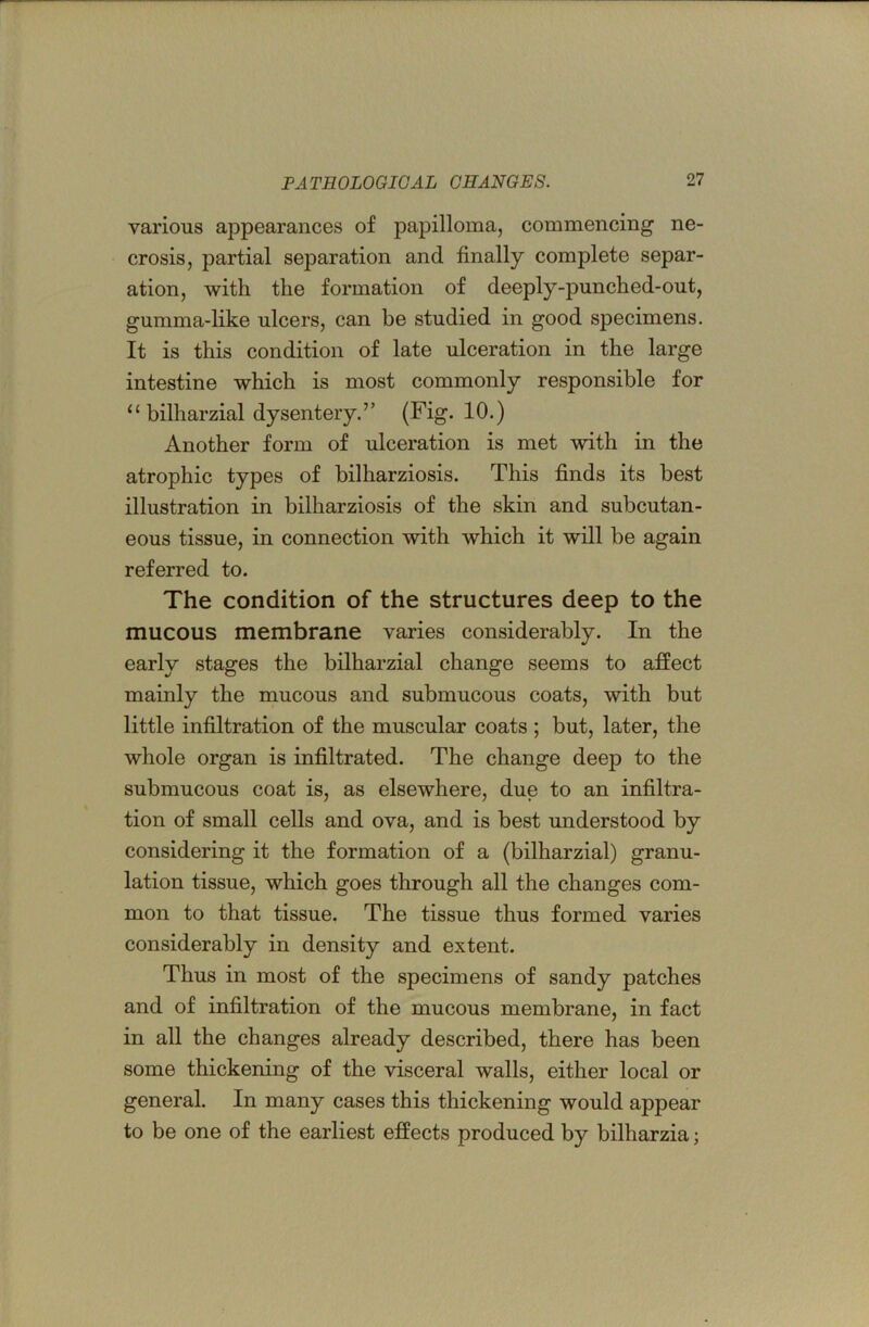 various appearances of papilloma, commencing ne- crosis, partial separation and finally complete separ- ation, with the formation of deeply-punched-out, gumma-like ulcers, can be studied in good specimens. It is this condition of late ulceration in the large intestine which is most commonly responsible for “ bilharzial dysentery.” (Fig. 10.) Another form of ulceration is met with in the atrophic types of bilharziosis. This finds its best illustration in bilharziosis of the skin and subcutan- eous tissue, in connection with which it will be again referred to. The condition of the structures deep to the mucous membrane varies considerably. In the early stages the bilharzial change seems to affect mainly the mucous and submucous coats, with but little infiltration of the muscular coats ; but, later, the whole organ is infiltrated. The change deep to the submucous coat is, as elsewhere, due to an infiltra- tion of small cells and ova, and is best understood by considering it the formation of a (bilharzial) granu- lation tissue, which goes through all the changes com- mon to that tissue. The tissue thus formed varies considerably in density and extent. Thus in most of the specimens of sandy patches and of infiltration of the mucous membrane, in fact in all the changes already described, there has been some thickening of the visceral walls, either local or general. In many cases this thickening would appear to be one of the earliest effects produced by bilharzia;