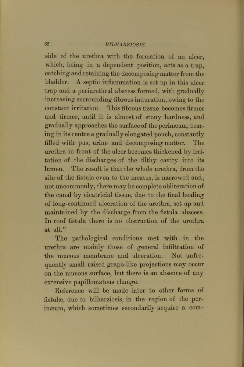 side of the urethra with the formation of an ulcer, which, being in a dependent position, acts as a trap, catching and retaining the decomposing matter from the bladder. A septic inflammation is set up in this ulcer trap and a periurethral abscess fonued, with gradually- increasing surrounding fibrous induration, owing to the constant irritation. This fibrous tissue becomes firmer and firmer, until it is almost of stony hardness, and gradually approaches the surface of the perinseum, bear- ing in its centre a gradually elongated pouch, constantly filled with pus, urine and decomposing matter. The urethra in front of the ulcer becomes thickened by irri- tation of the discharges of the filthy cavity into its lumen. The result is that the whole urethra, from the site of the fistula even to the meatus, is narrowed and, not uncommonly, there may be complete obliteration of the canal by cicatricial tissue, due to the final healing of long-continued ulceration of the urethra, set up and maintained by the discharge from the fistula abscess. In roof fistula there is no obstruction of the urethra at all.” The pathological conditions met with in the urethra are mainly those of general infiltration of the mucous membrane and ulceration. Not unfre- quently small raised grape-like projections may occur on the mucous surface, but there is an absence of any extensive papillomatous change. Reference will be made later to other forms of fistulse, due to bilharziosis, in the region of the per- inaeum, which sometimes secondarily acquire a com-