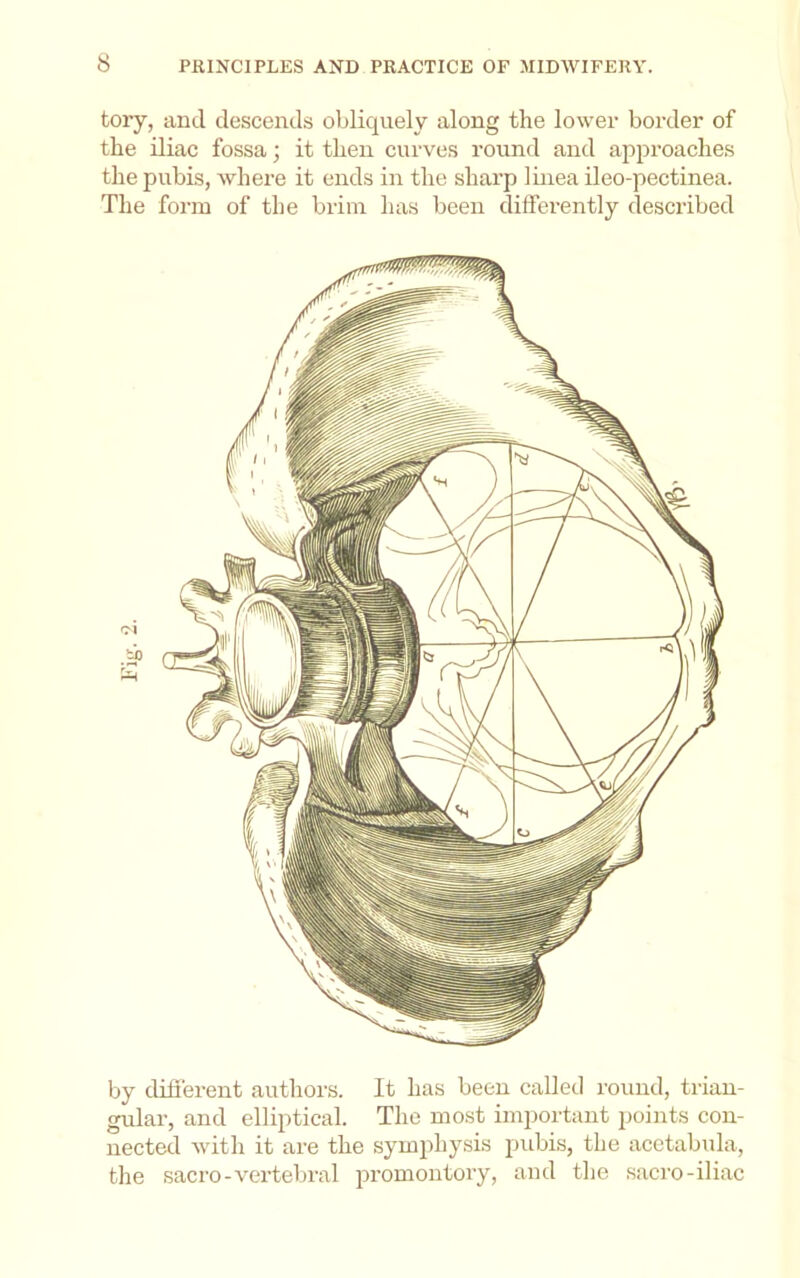 tory, and descends obliquely along the lower border of the iliac fossa; it then curves round and approaches the pubis, where it ends in the shai'p linea ileo-pectinea. The form of the brim has been differently described to by different authors. It has been called round, trian- gular, and elliptical. The most important points con- nected with it are the symphysis pubis, the acetabula, the sacro-vei’teliral promontory, and the sacro-iliac