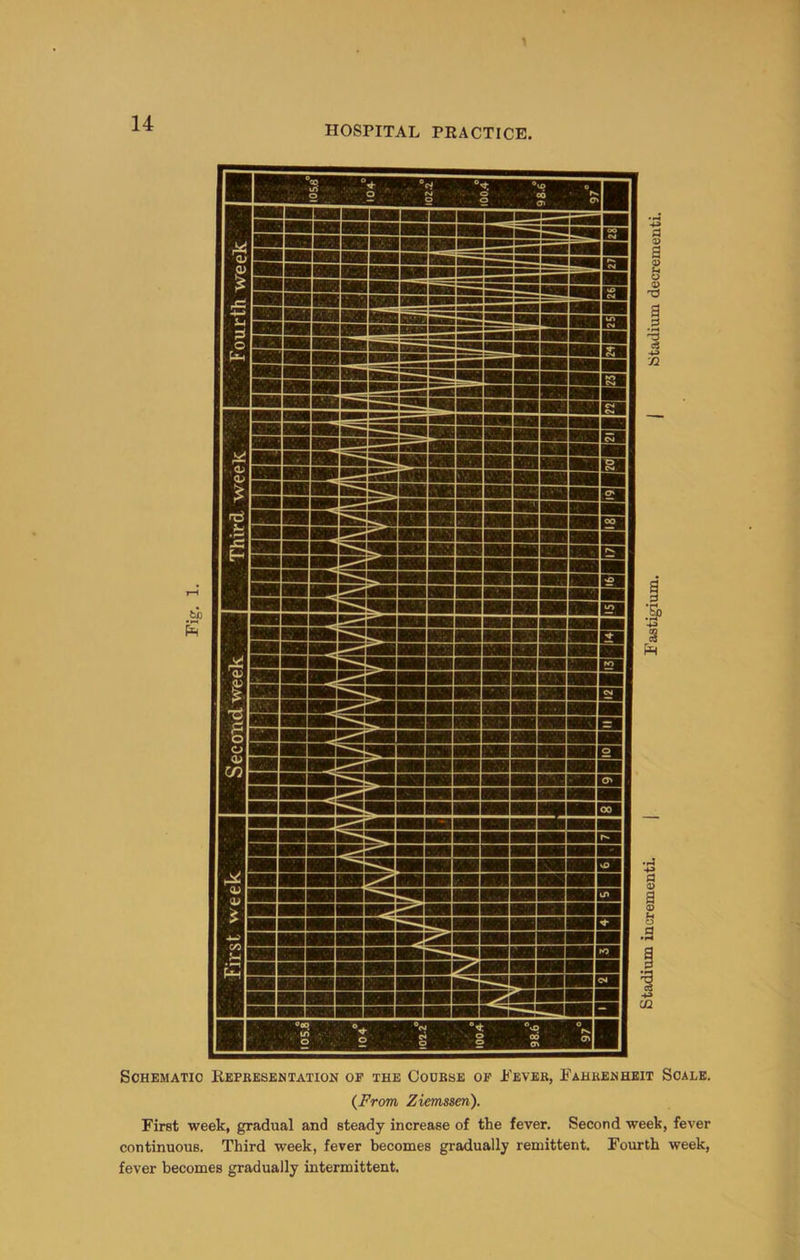HOSPITAL PRACTICE {From Ziemssen). First week, gradual and steady increase of the fever. Second week, fever continuous. Third week, fever becomes gradually remittent. Fourth week, fever becomes gradually intermittent.